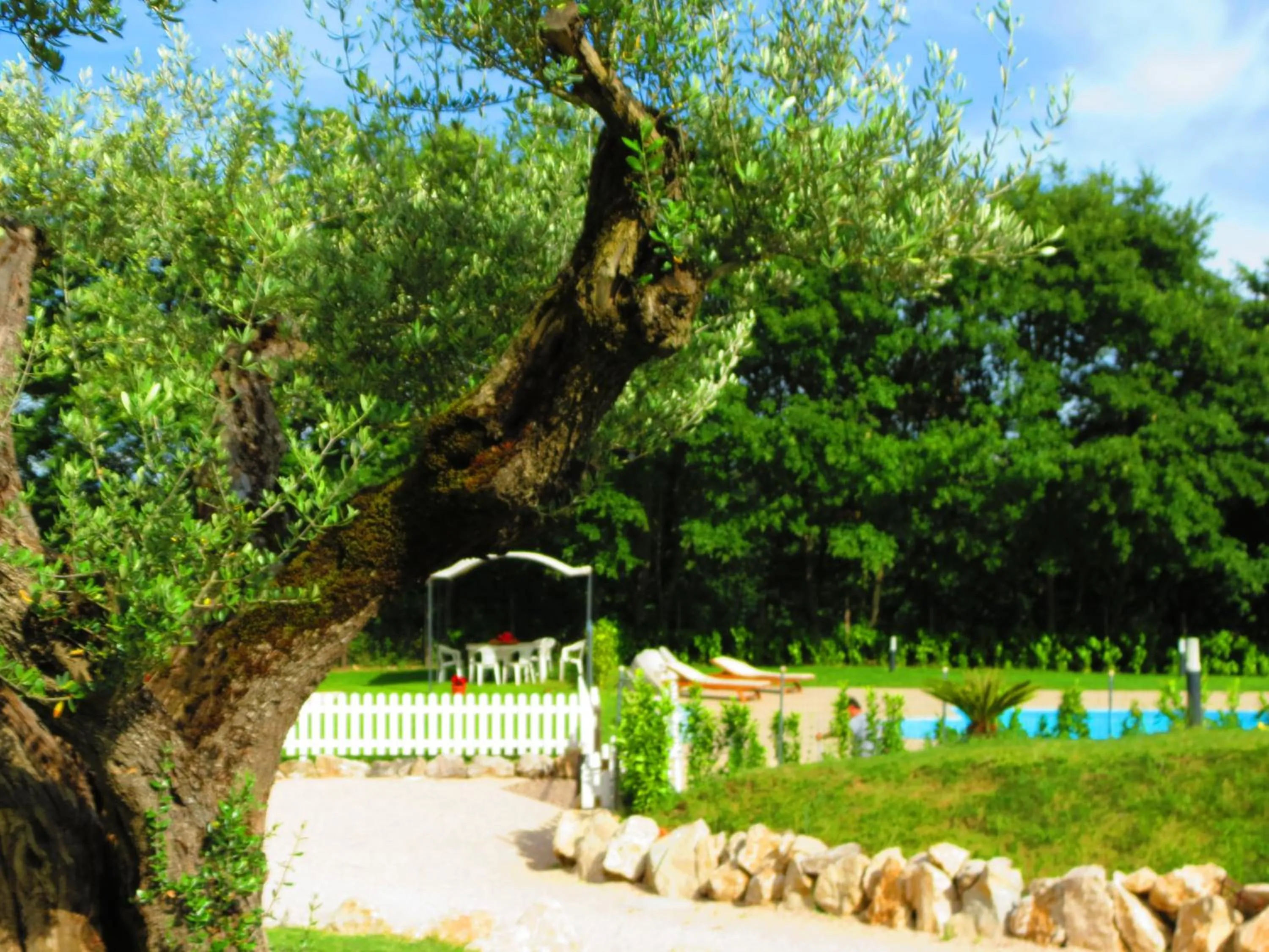Garden view in La Selva Incantata