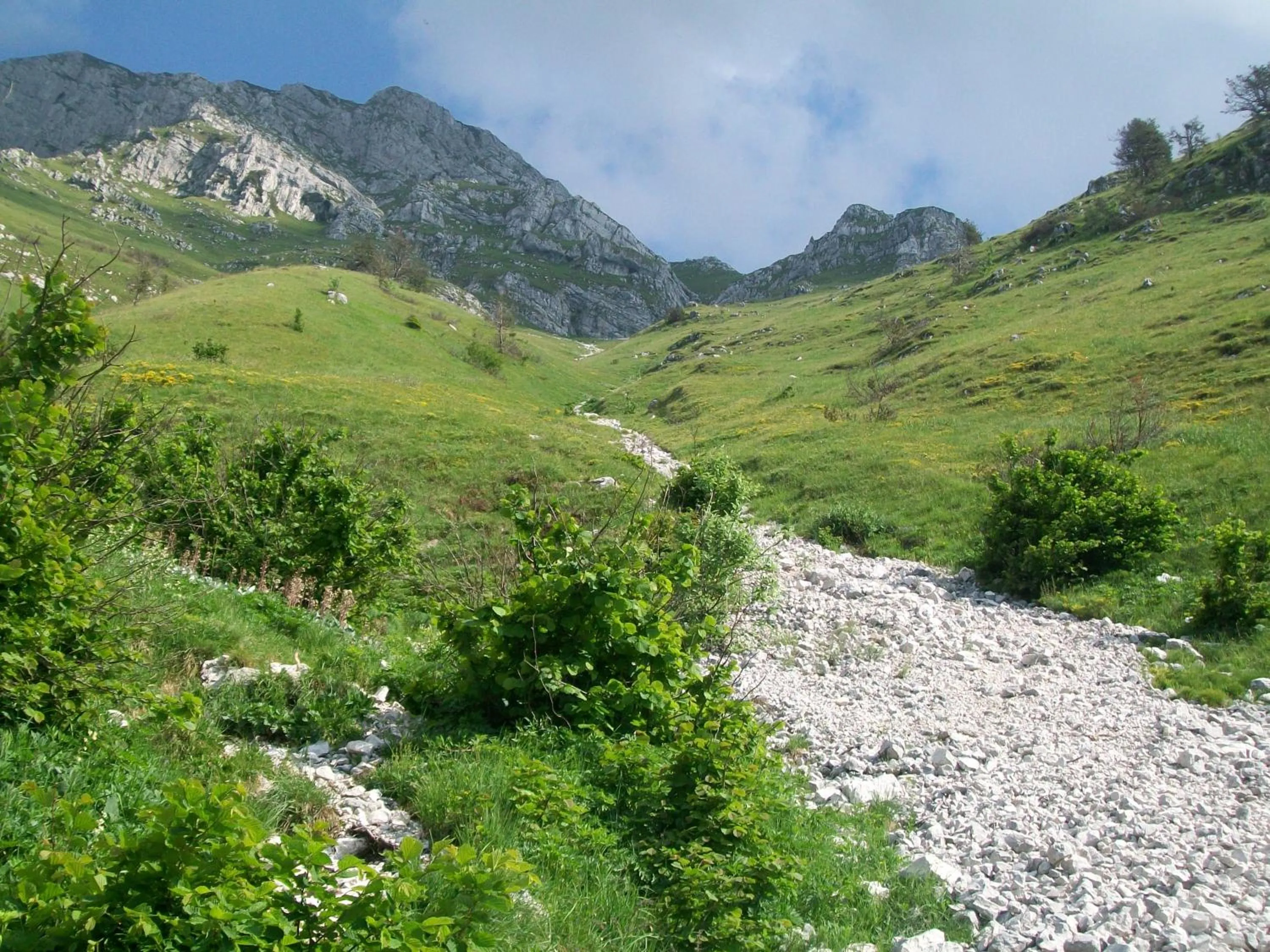 Other in B&B IN FATTORIA