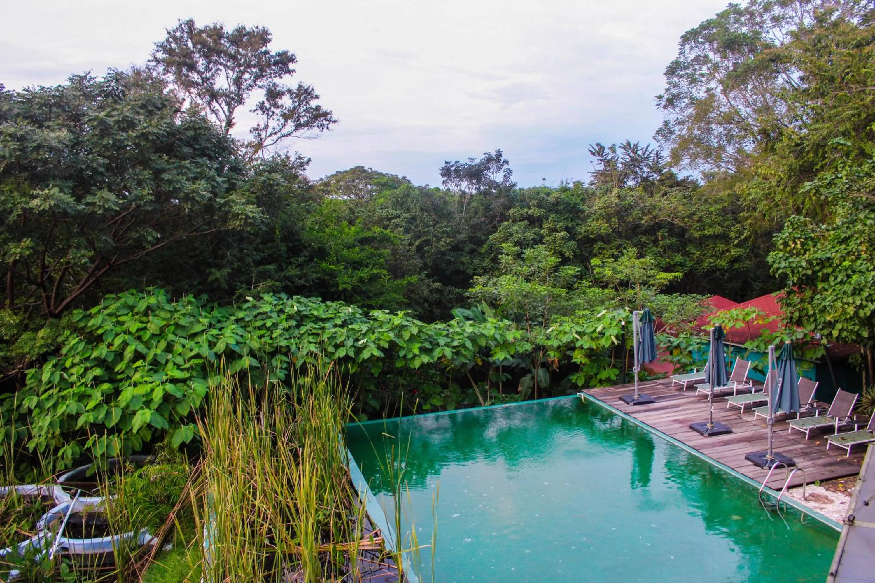 Swimming pool in Winíka Alterra