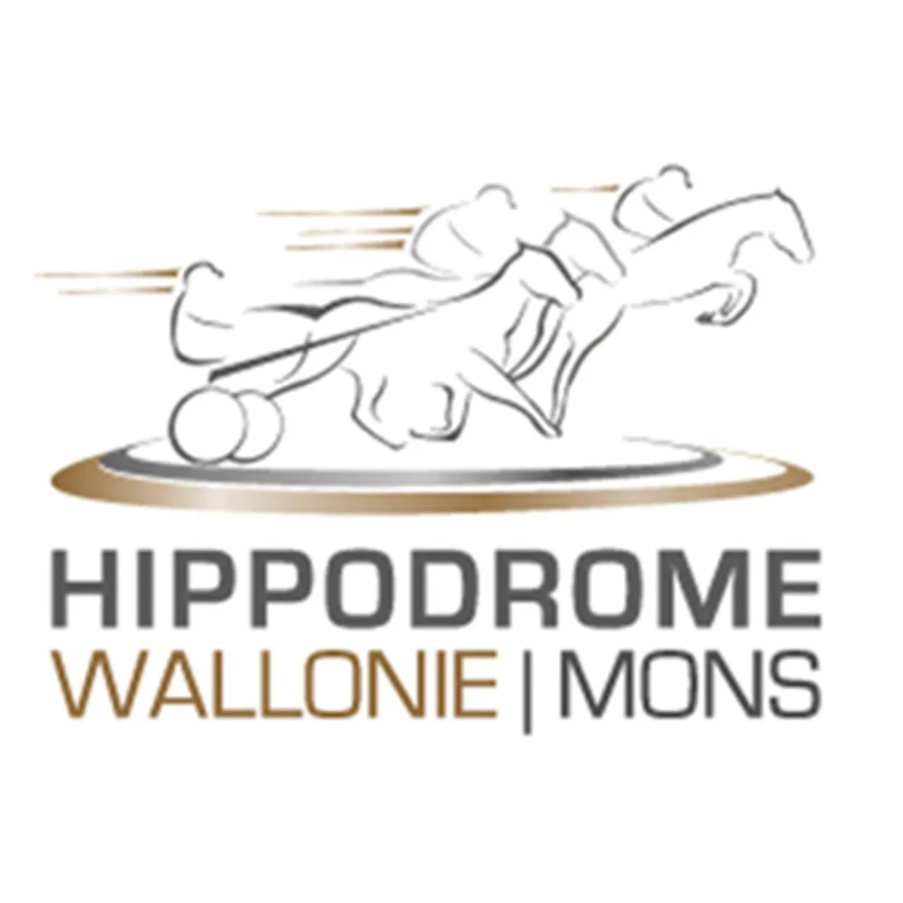 Horse-riding in Hotel & Aparthotel Casteau Resort Mons Soignies