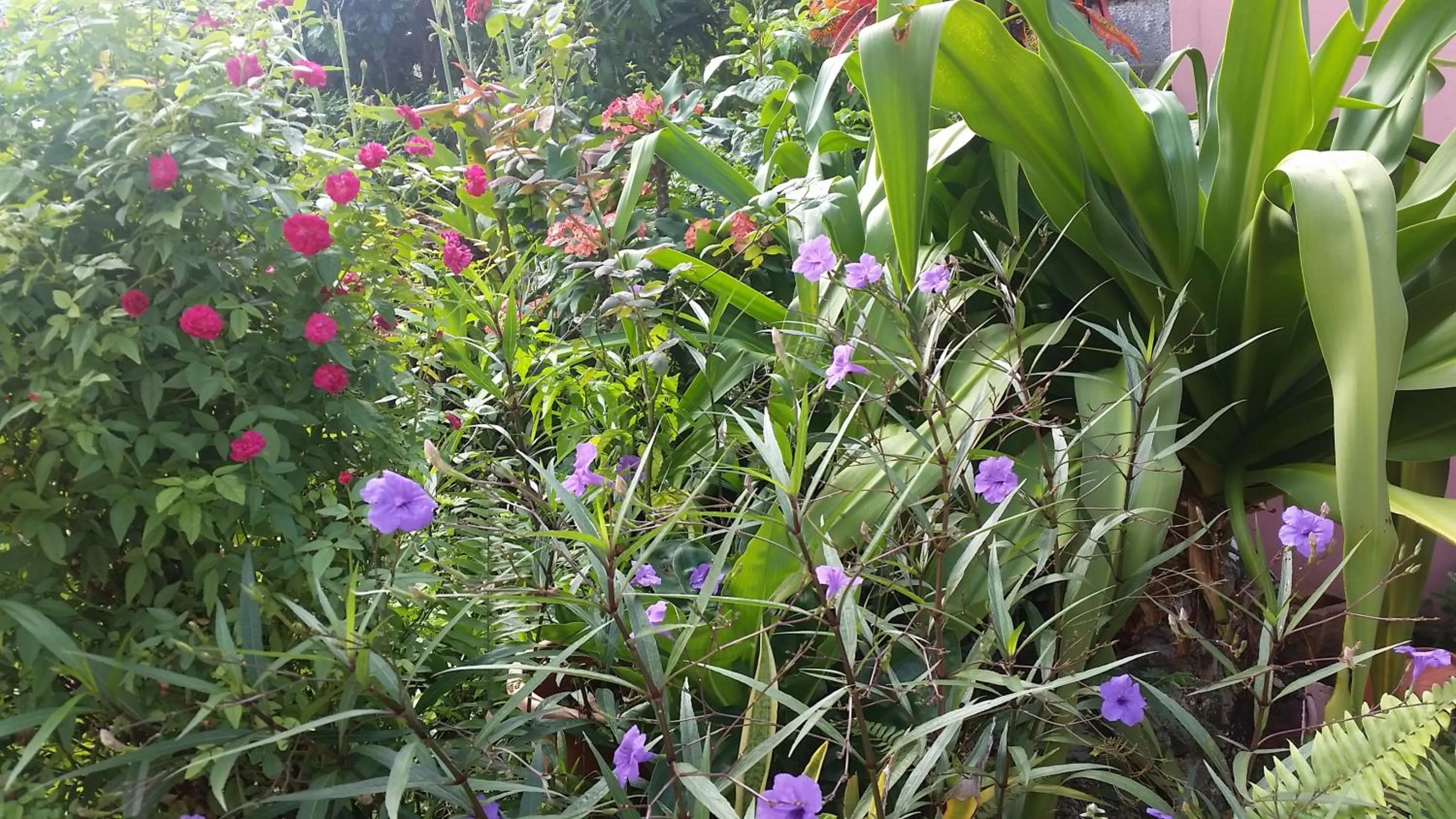 Natural landscape in Chez Lucia et Donatien