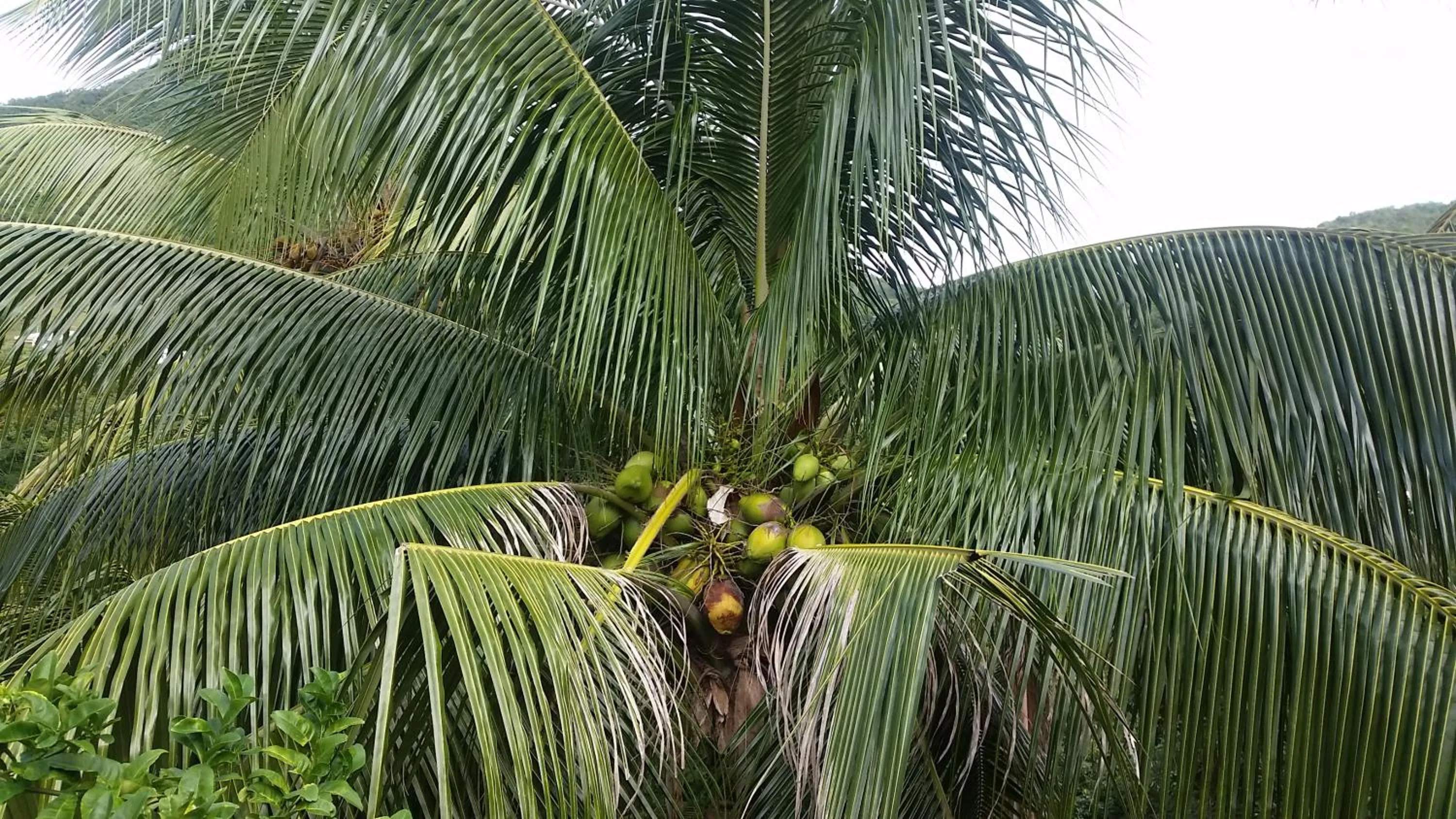 Natural landscape in Chez Lucia et Donatien