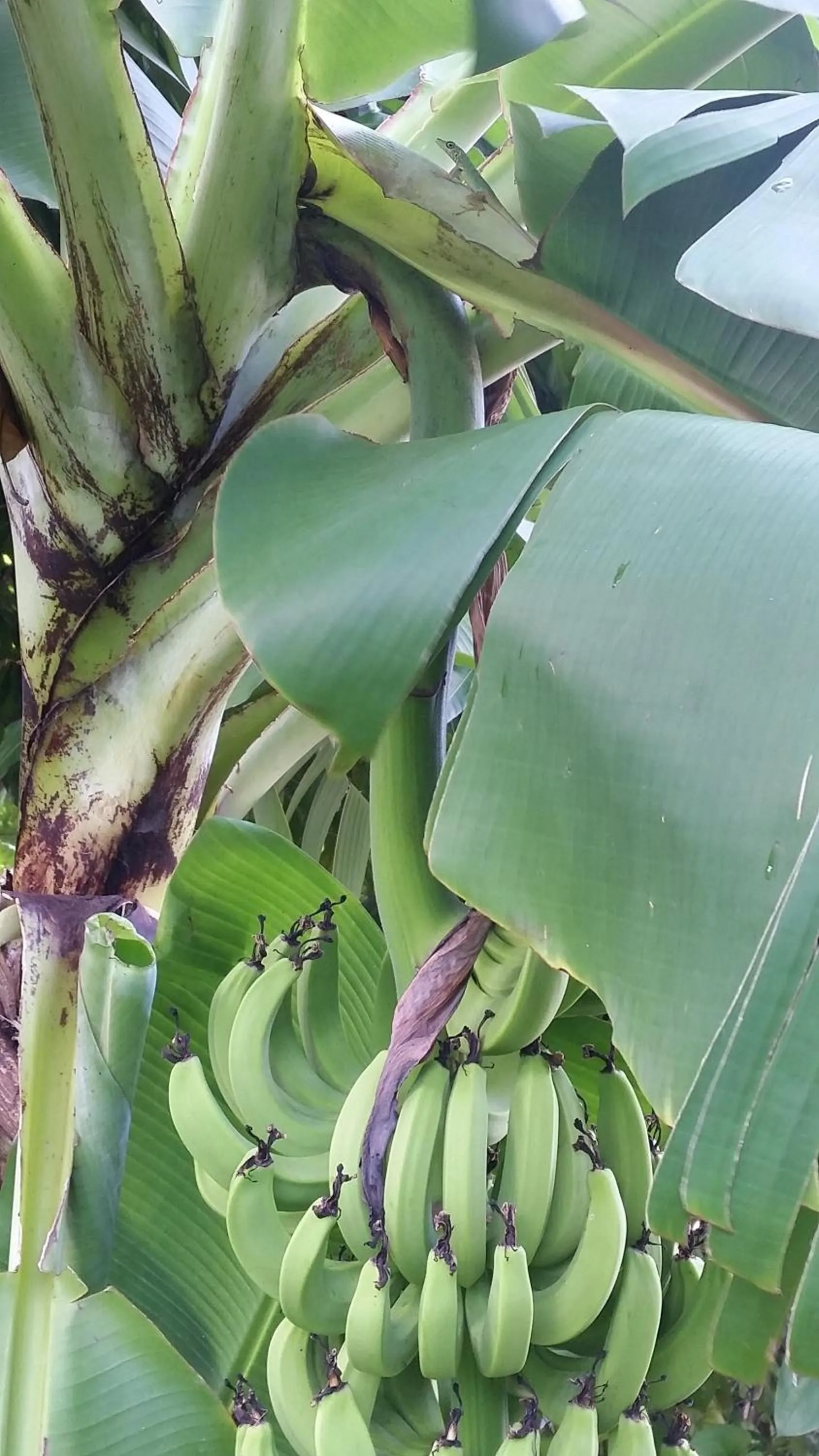Natural landscape in Chez Lucia et Donatien