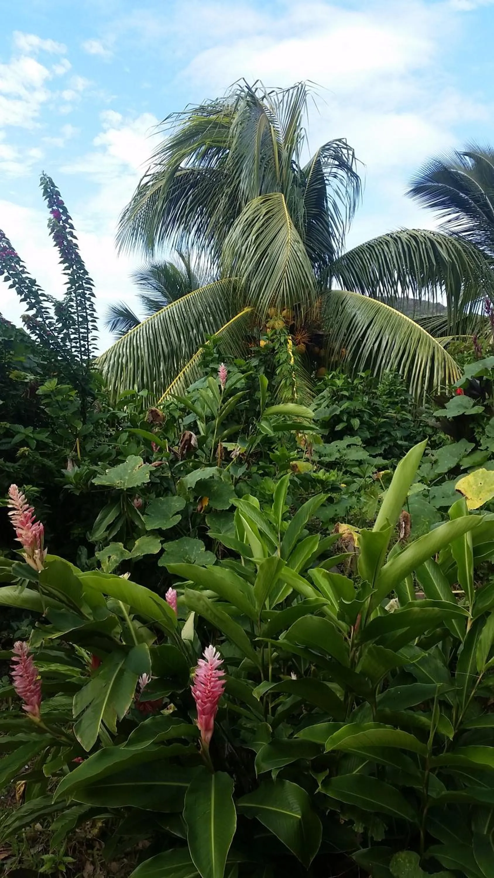 Natural landscape in Chez Lucia et Donatien