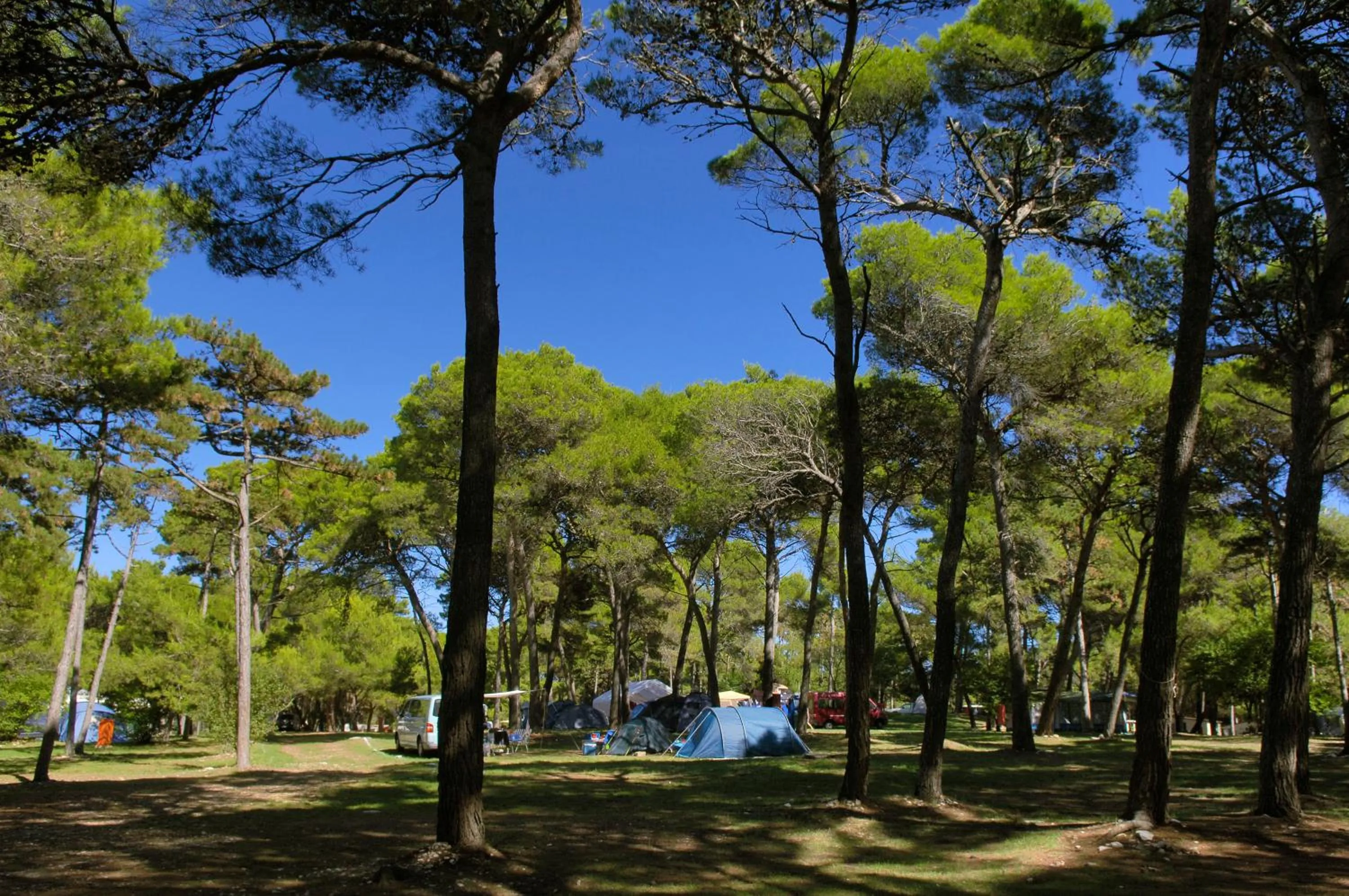 Area and facilities in Arena Medulin Mobile Homes