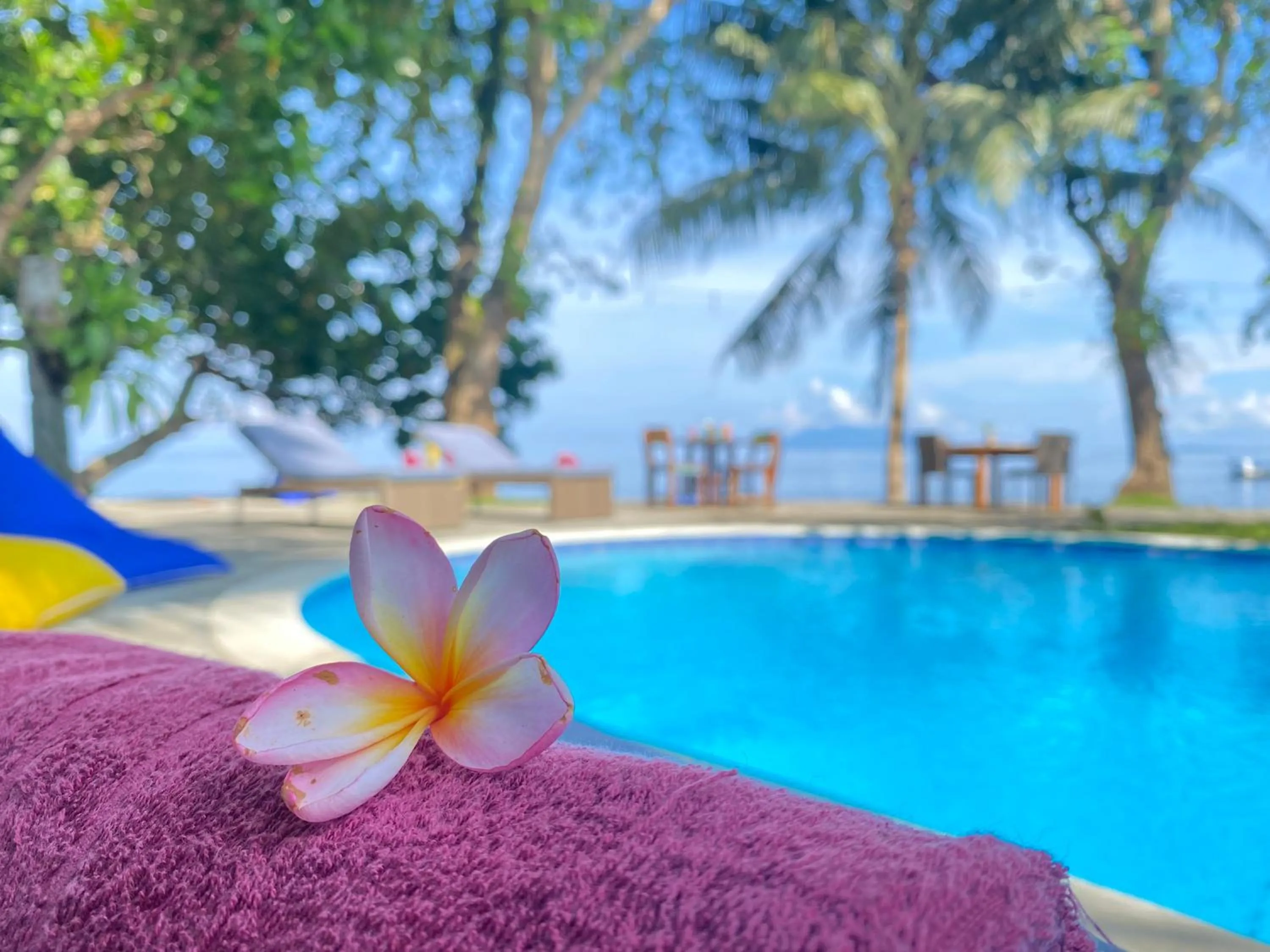 Pool view in Murex Dive Resort