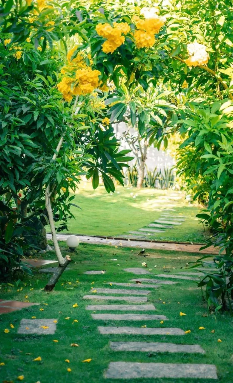 Garden view in Tuong Vy Boutique Hotel Mui Ne