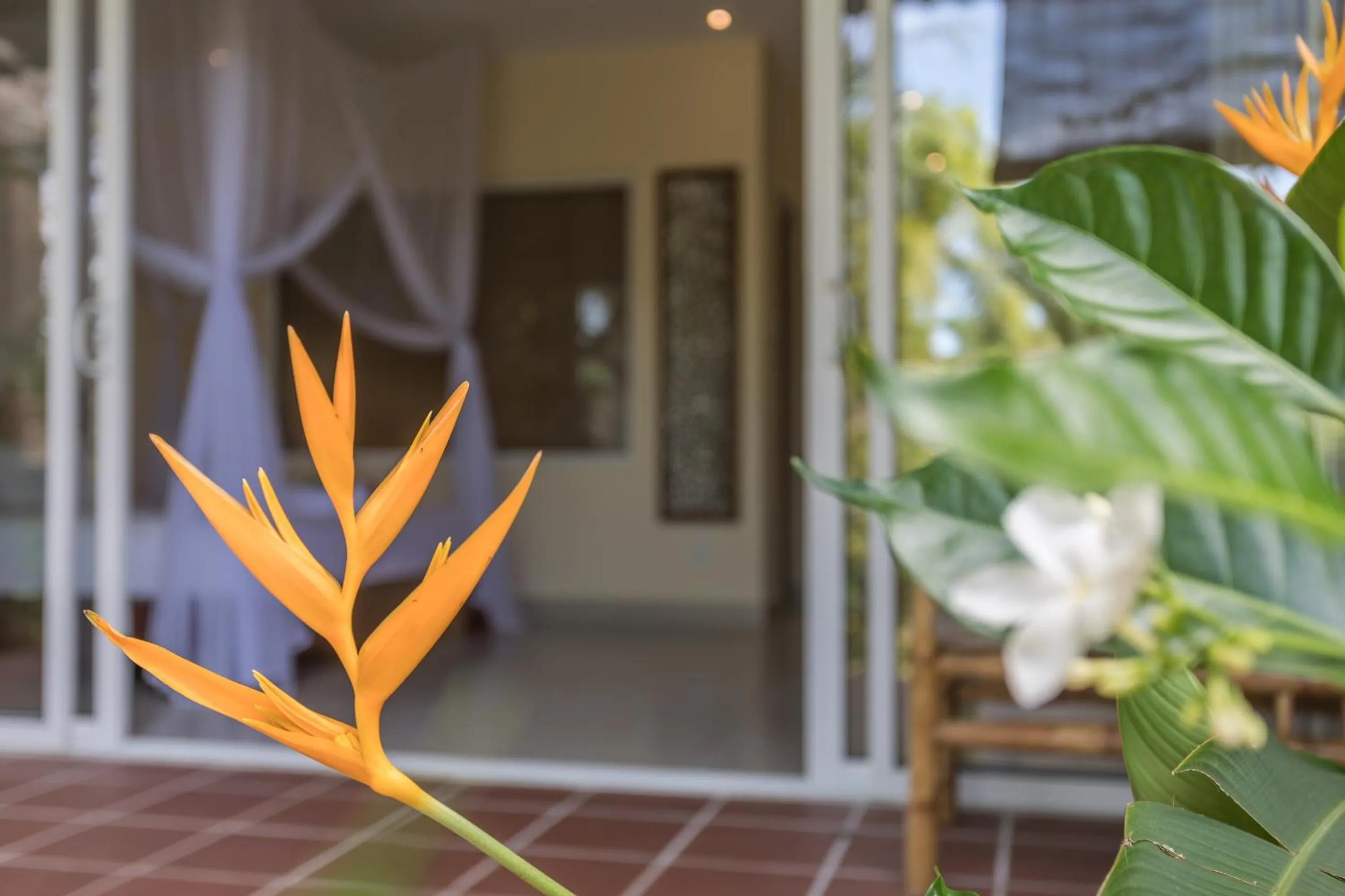Balcony/Terrace in Le Forest Resort