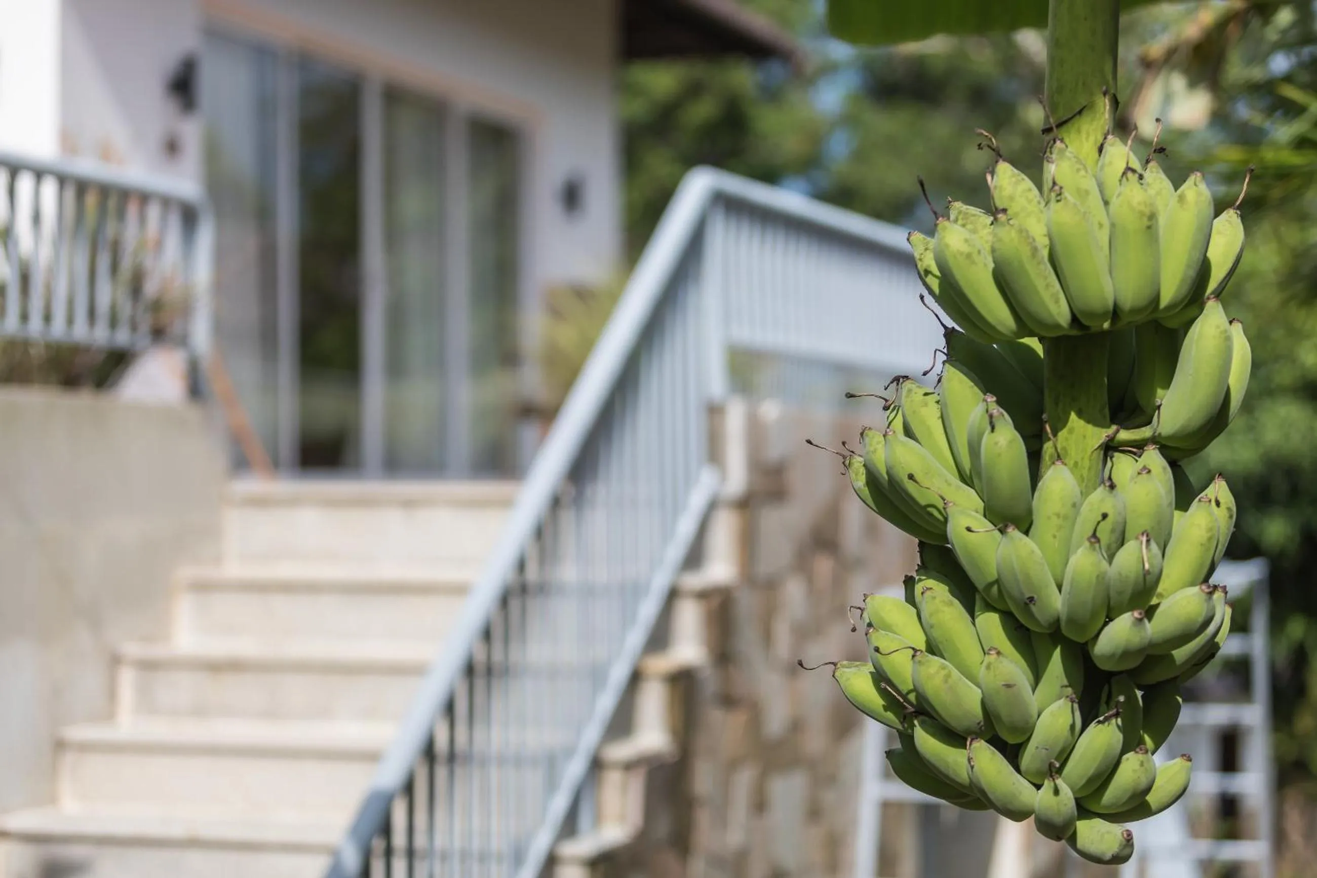 Food close-up in Le Forest Resort