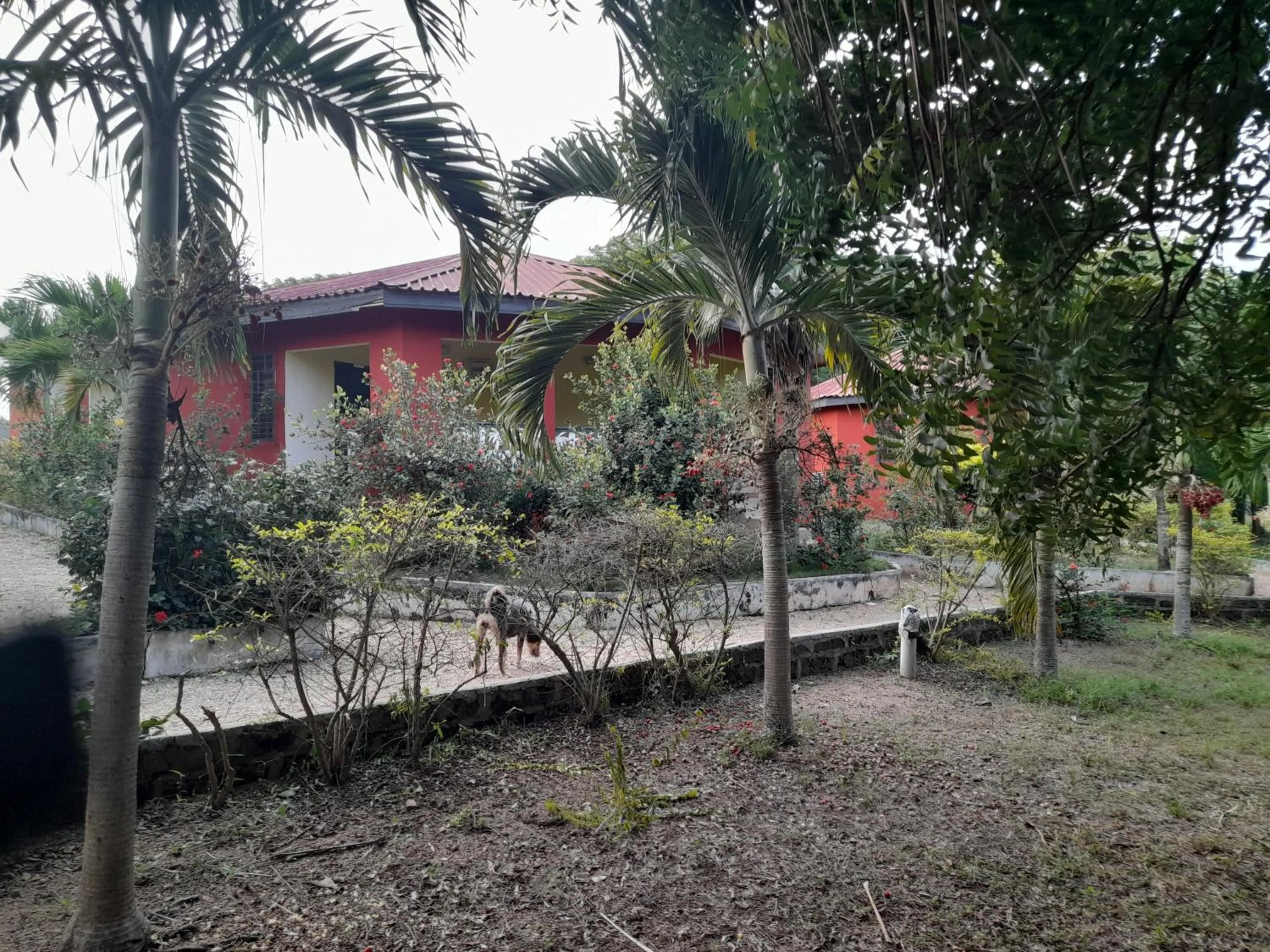 Paradise Ocean Resort