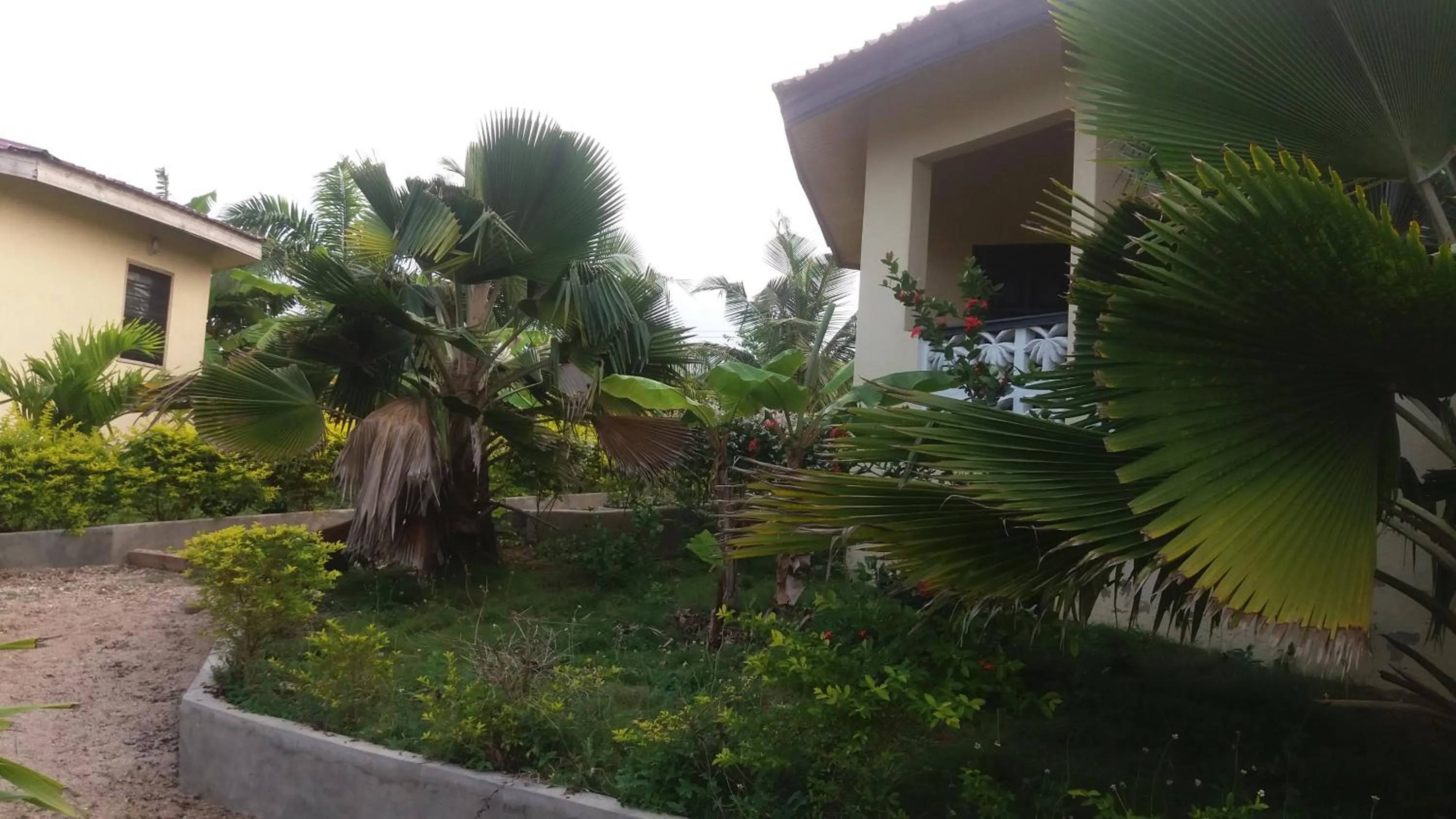 Garden view in Paradise Ocean Resort