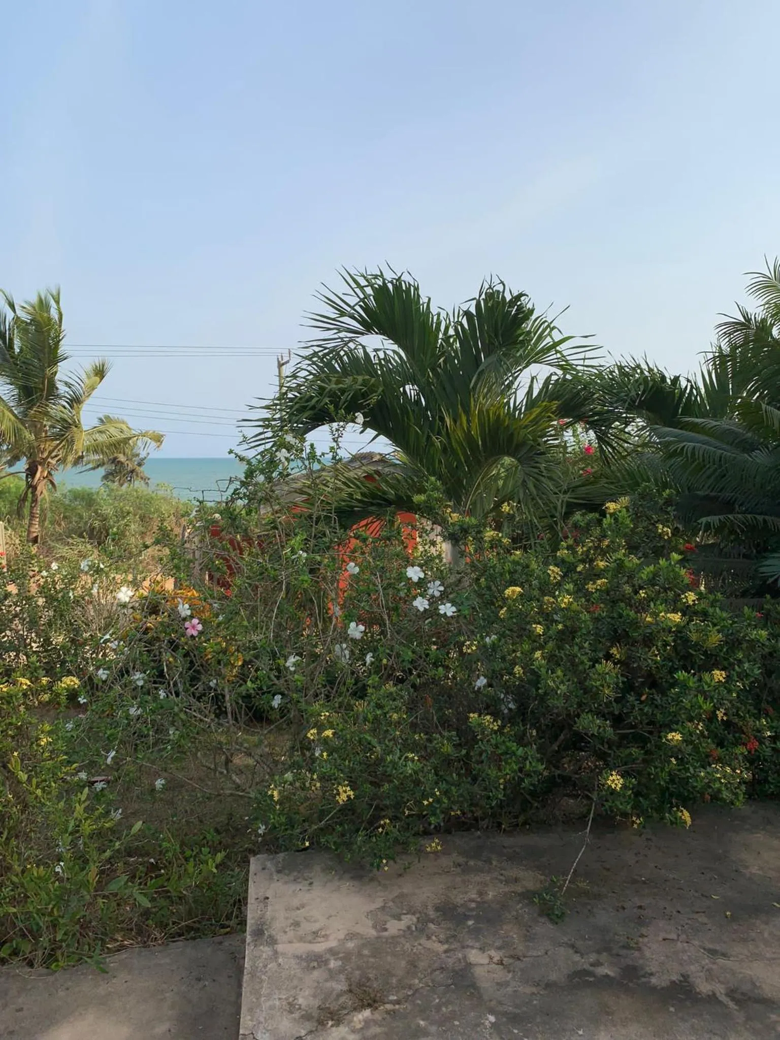 Paradise Ocean Resort