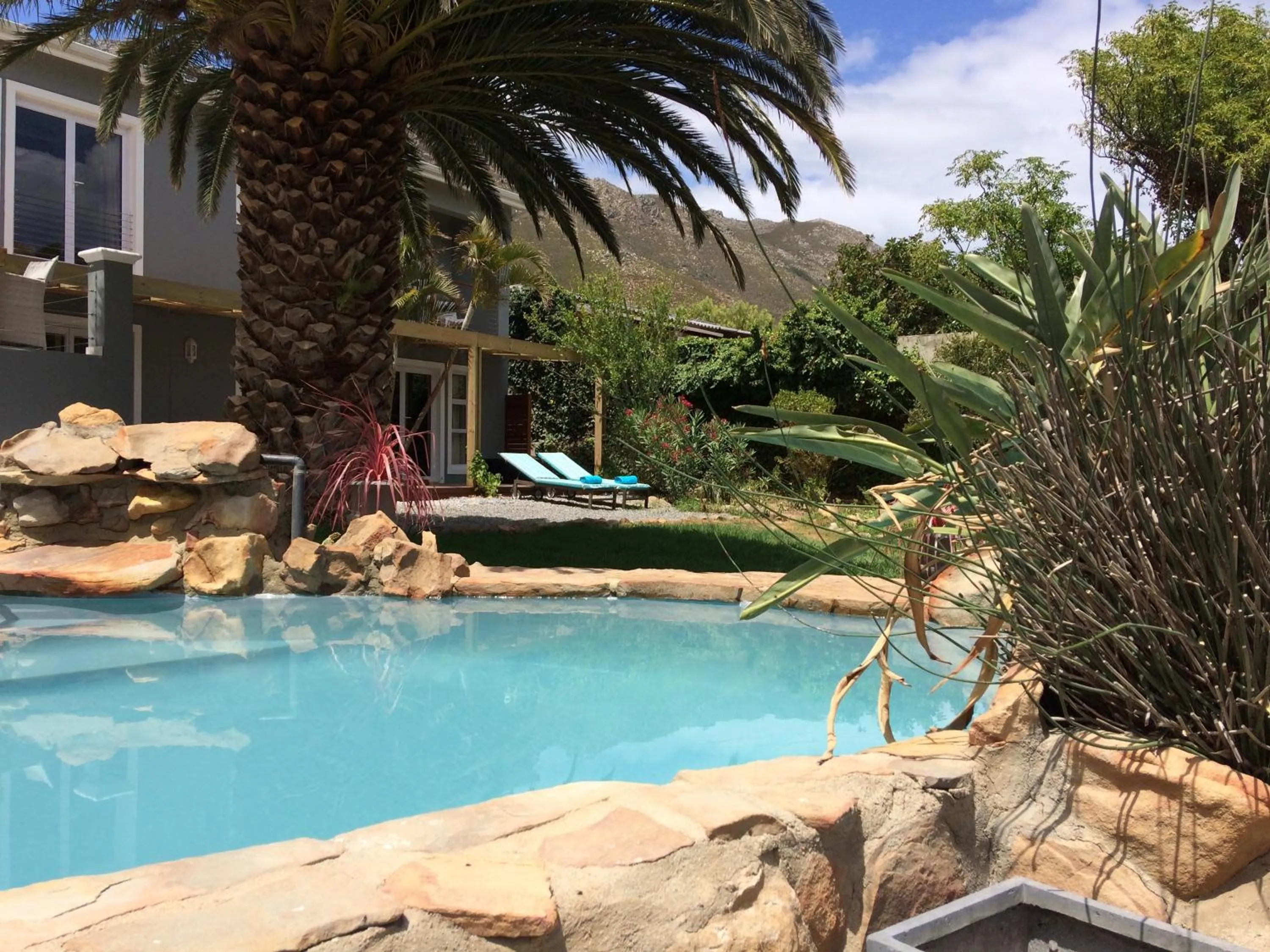 Pool view in Bloemenzee Boutique B&B