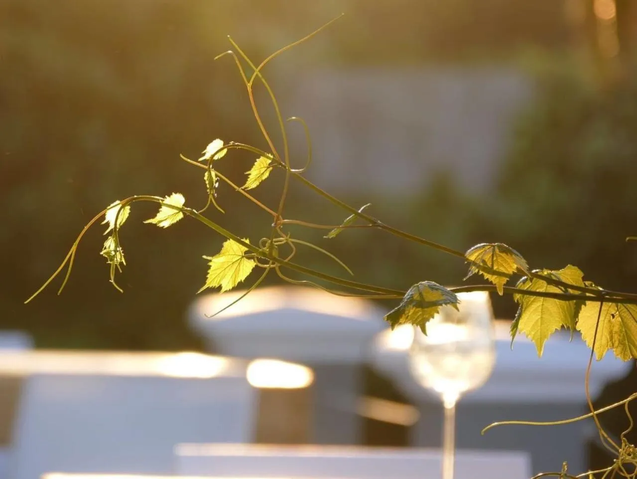 Property building in Bloemenzee Boutique B&B