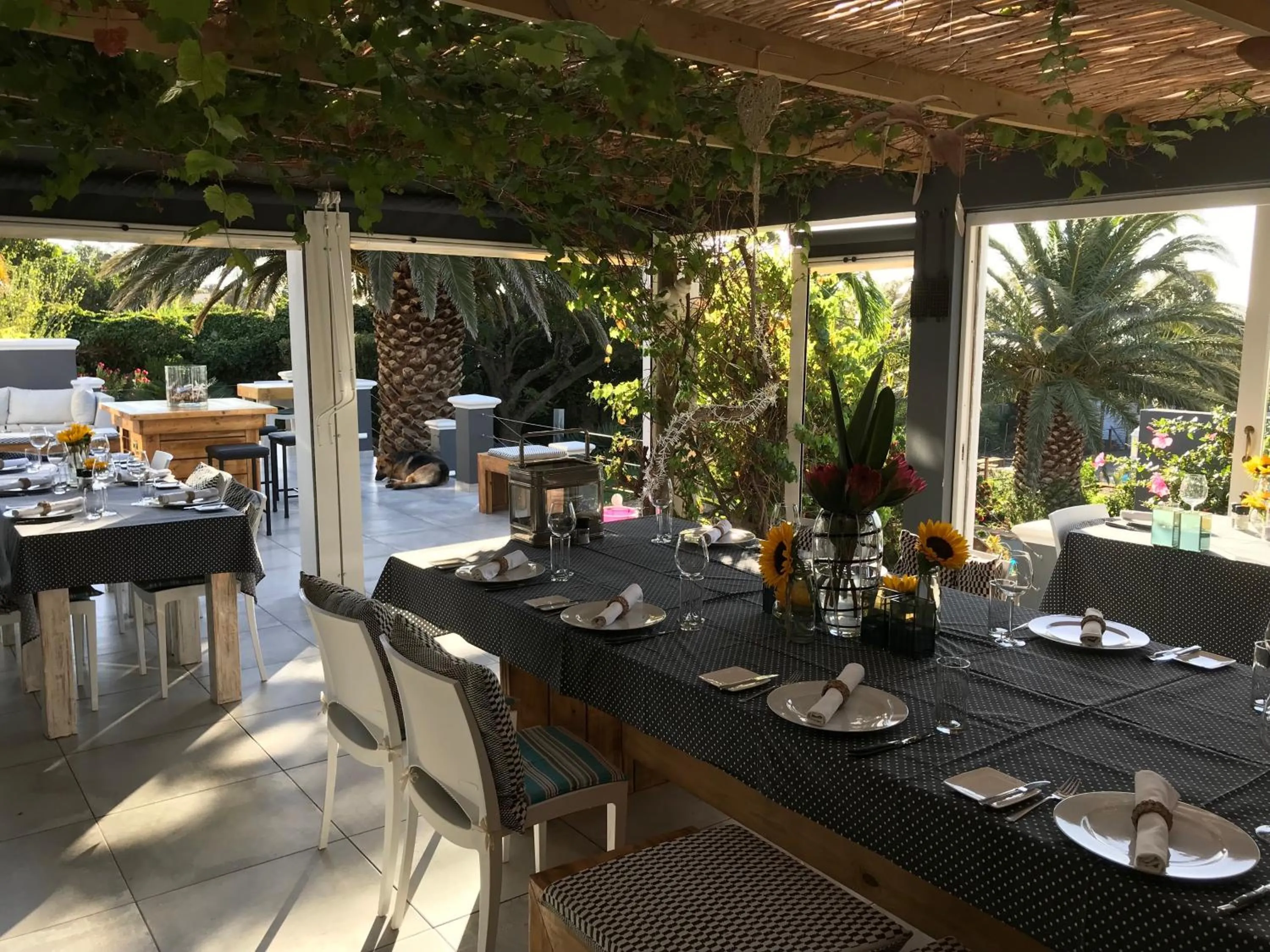 Balcony/Terrace in Bloemenzee Boutique B&B