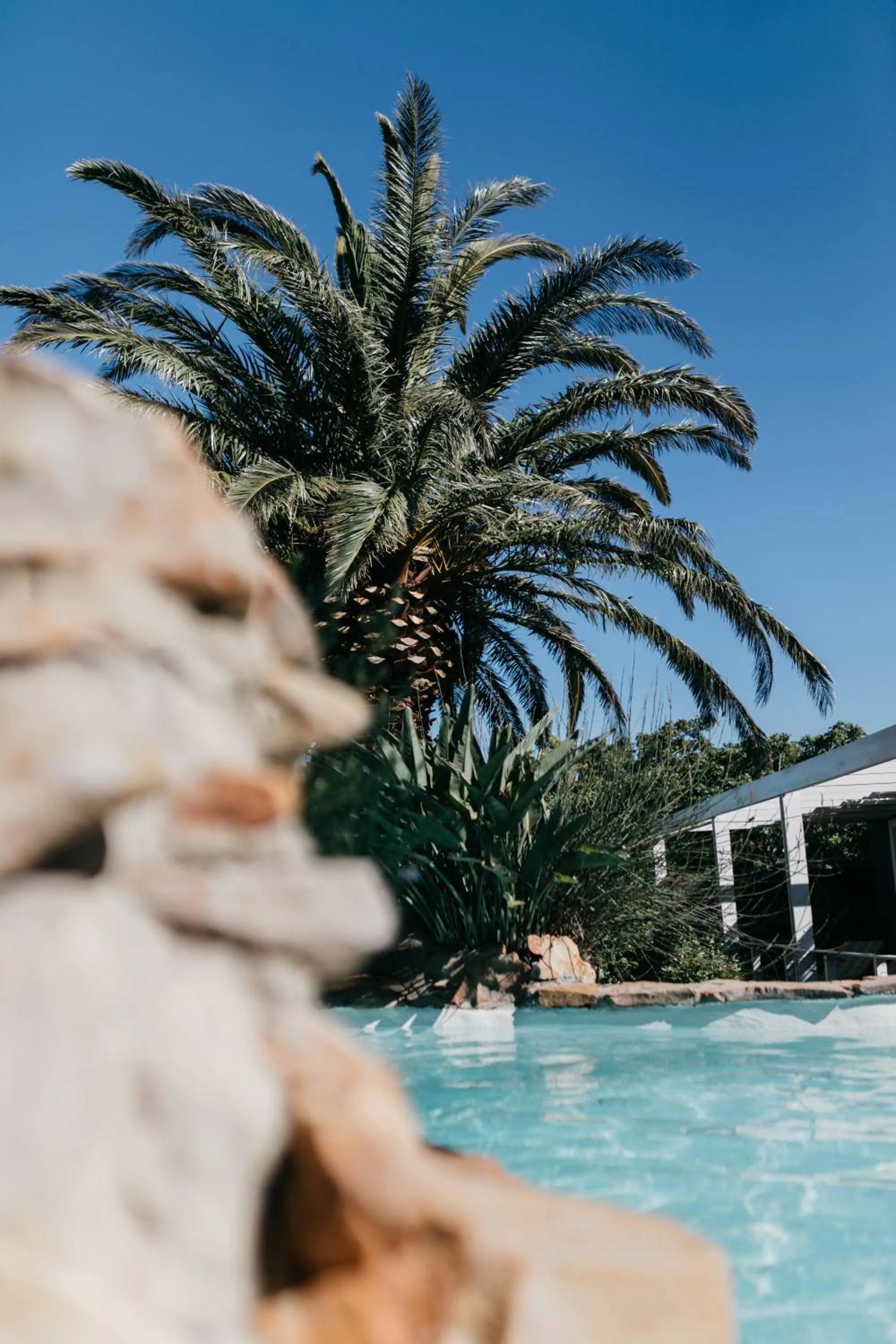 Swimming pool in Bloemenzee Boutique B&B