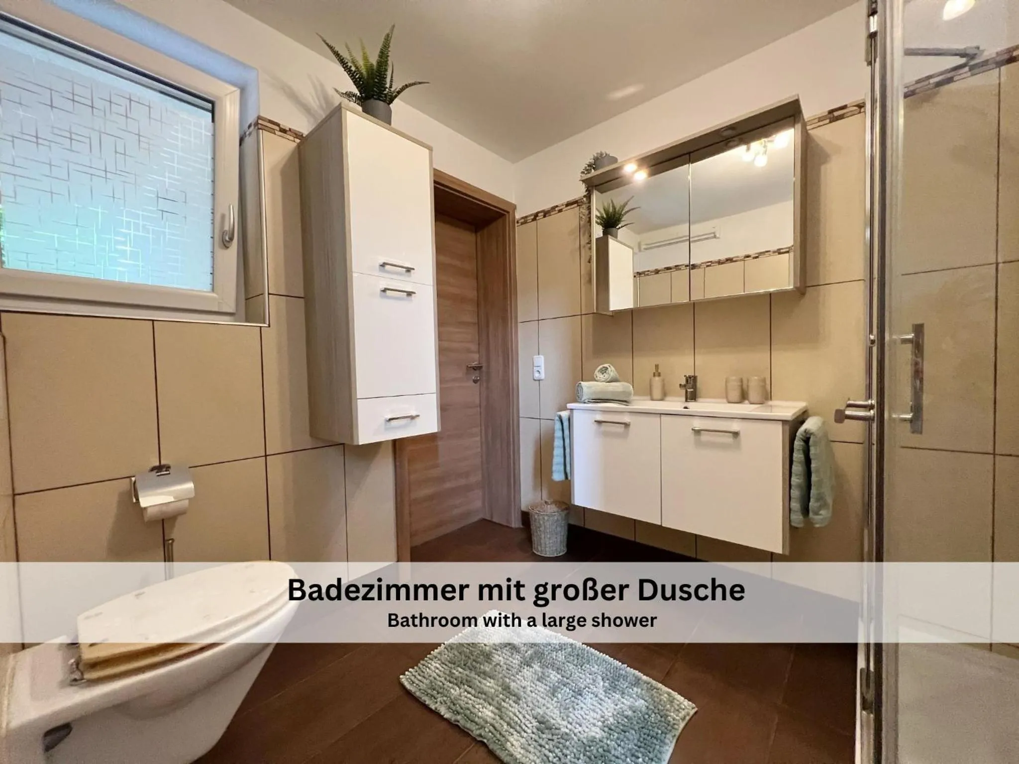 Toilet in Apartments Viola Altenmarkt