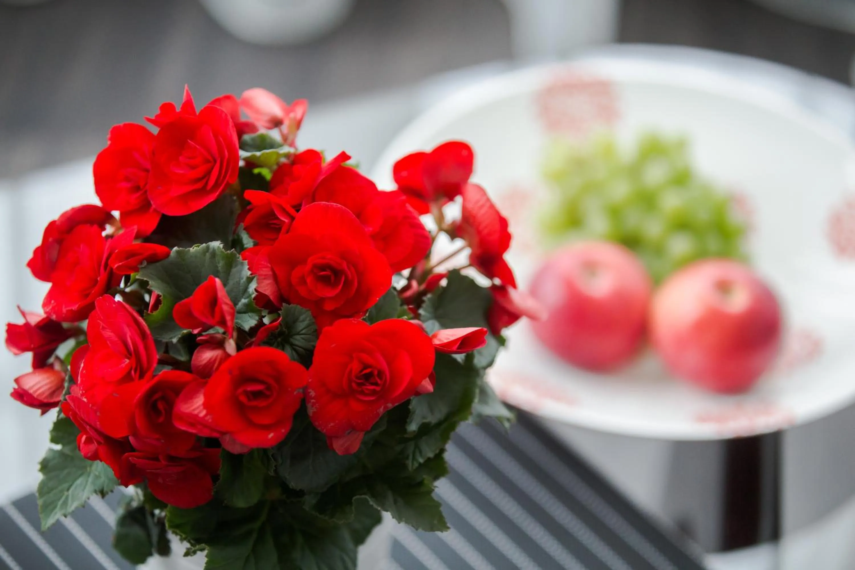Decorative detail in Park Apartments