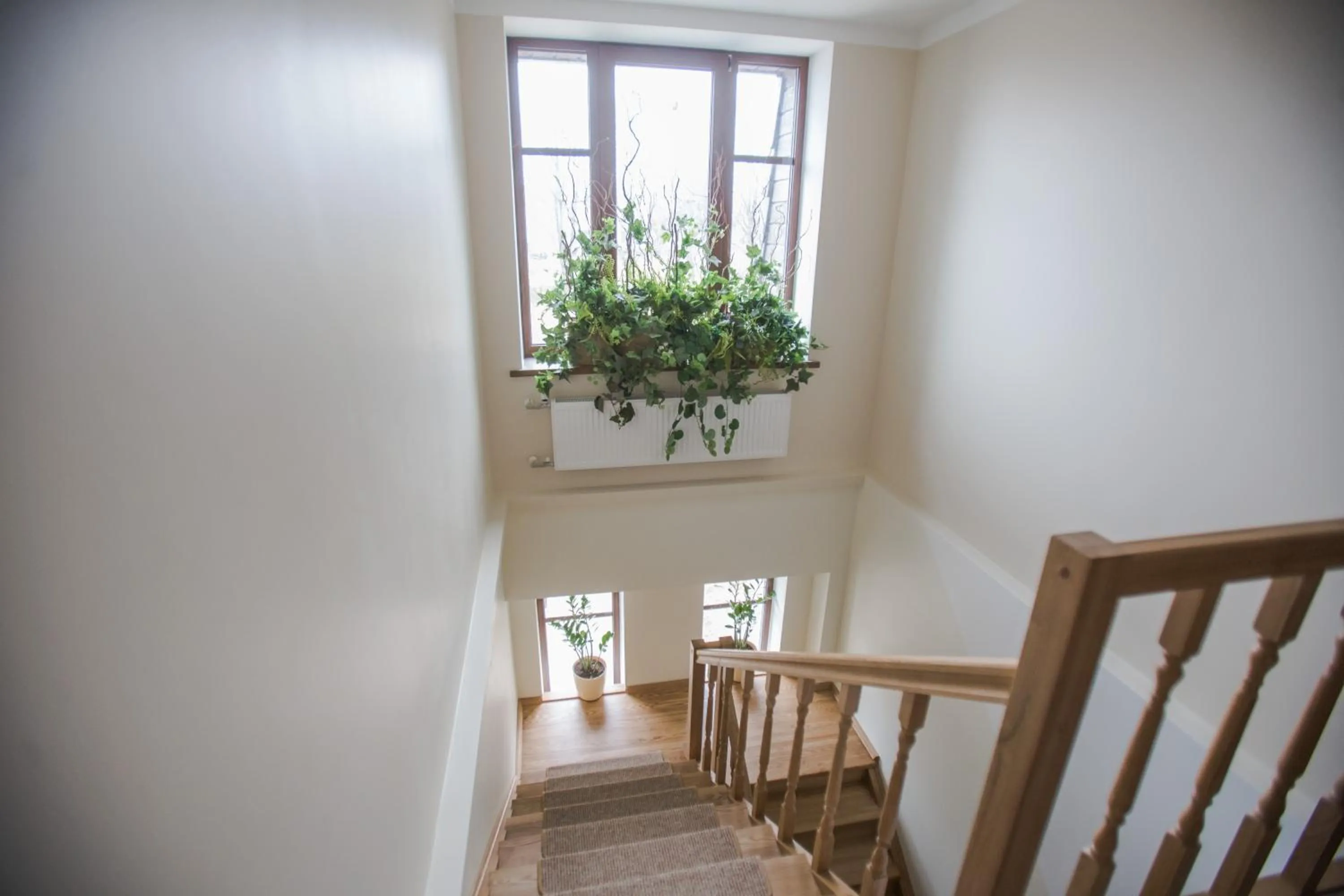 Property building in Park Apartments