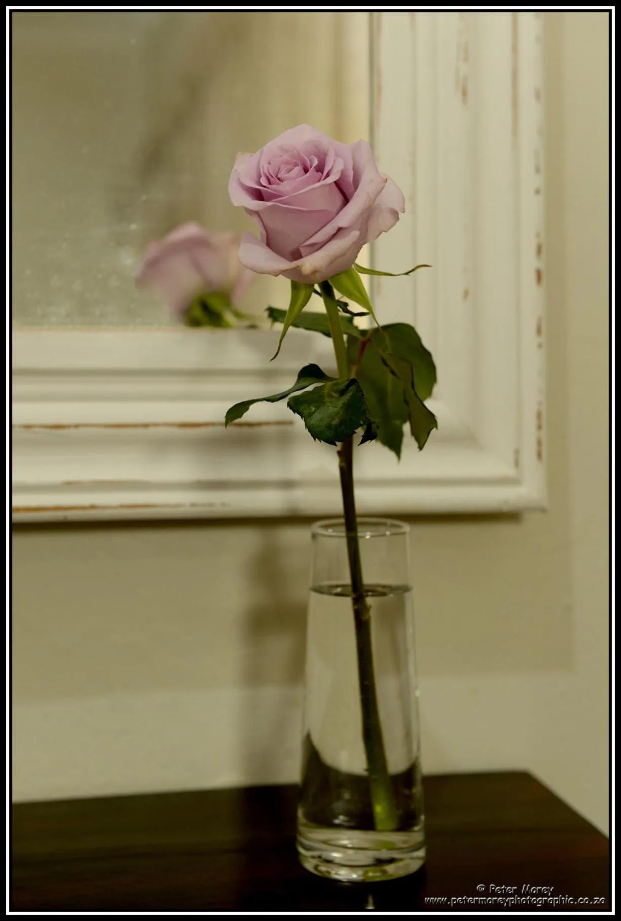 Decorative detail in Paarl Mountain Lodge