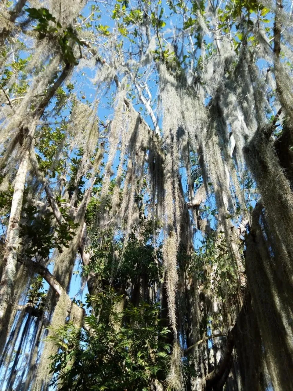 Casa de Teja Barichara