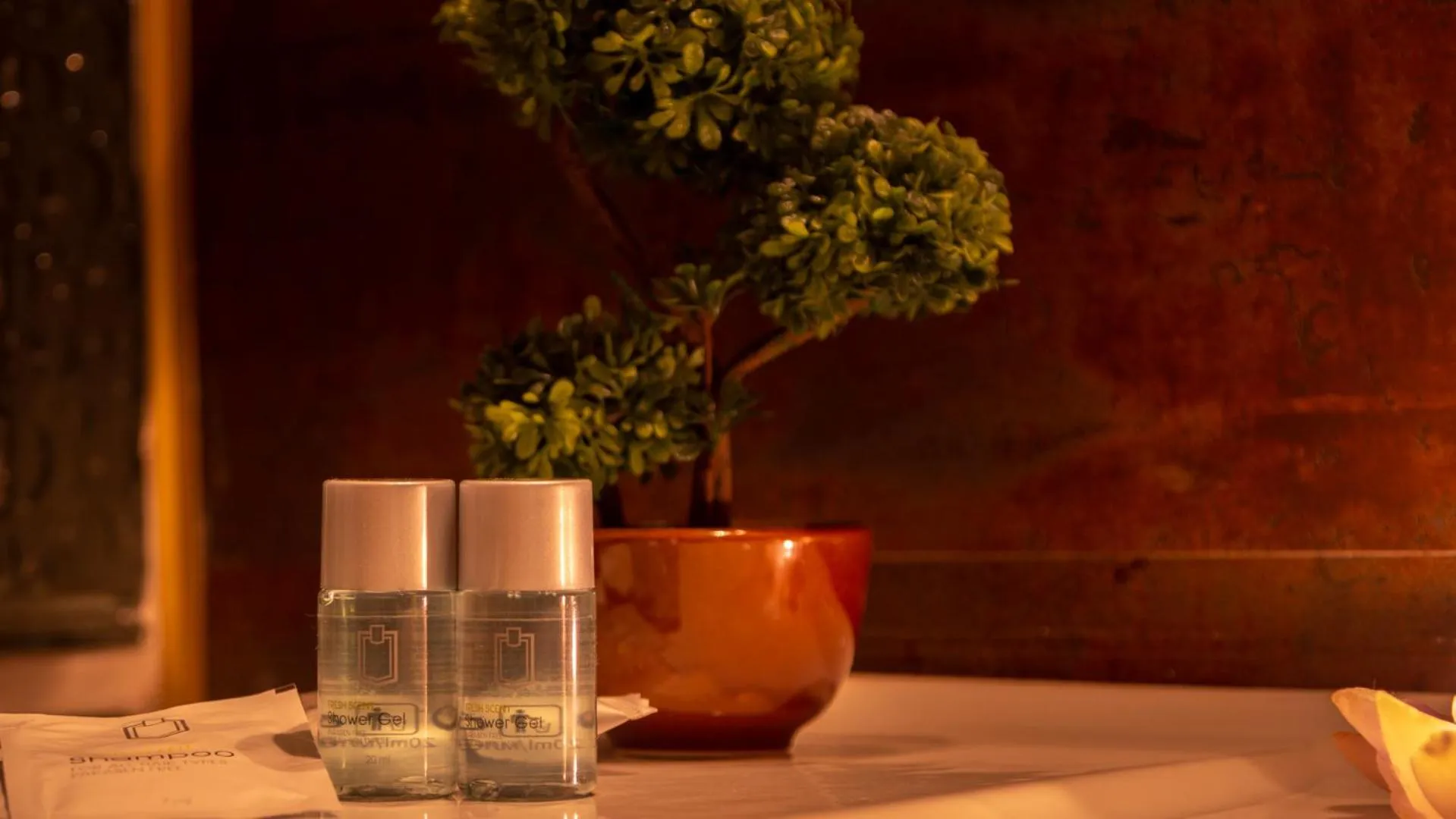 Bathroom in Hermannstadt House