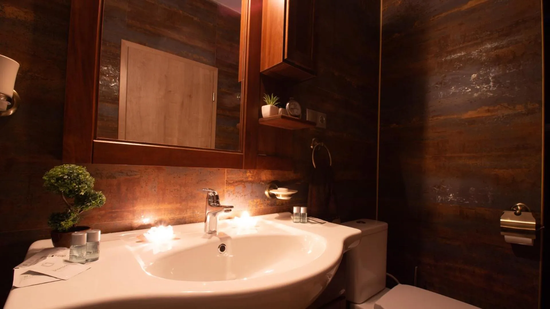 Bathroom in Hermannstadt House