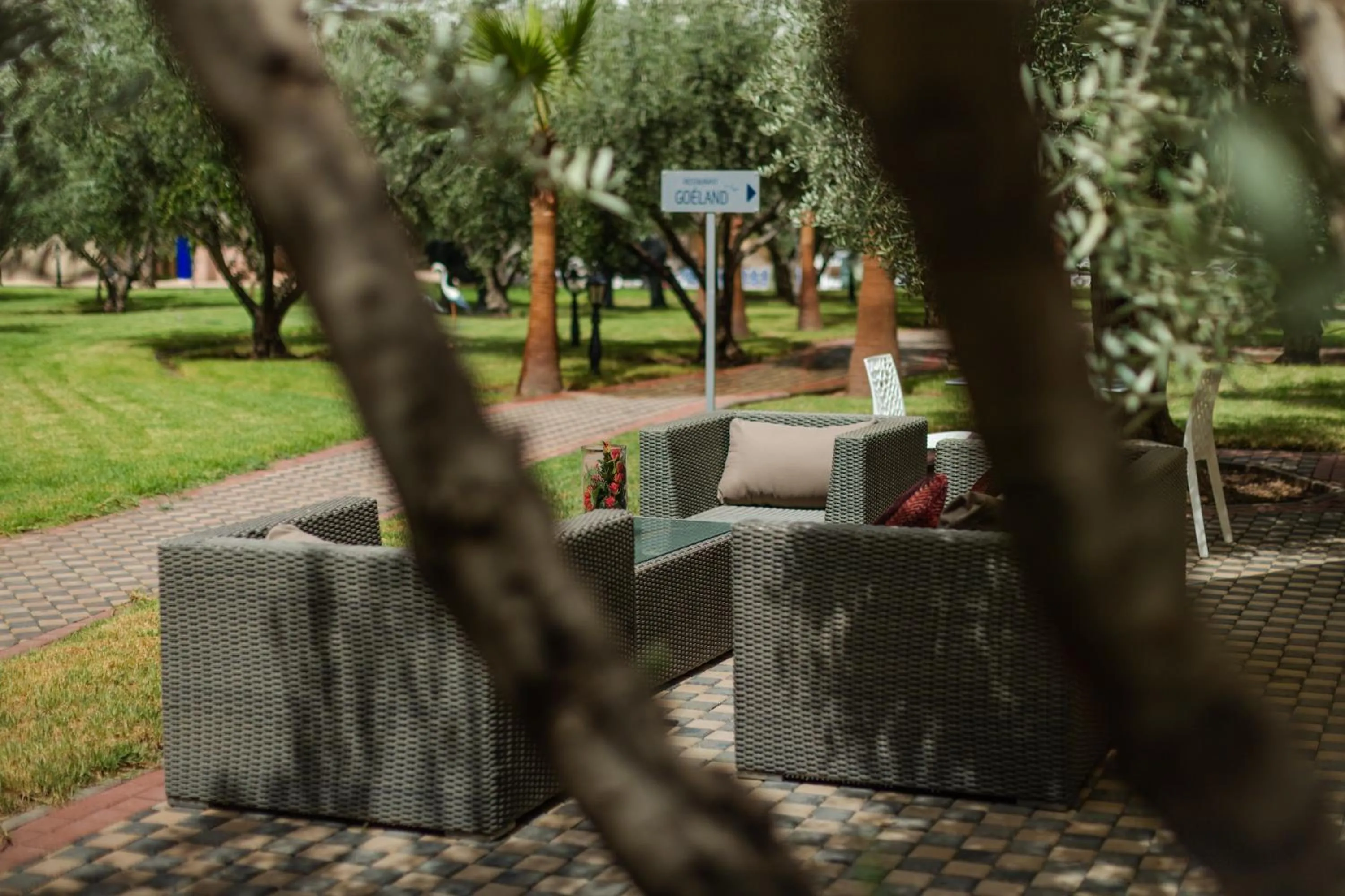 Garden in Wazo Appart-Hôtel