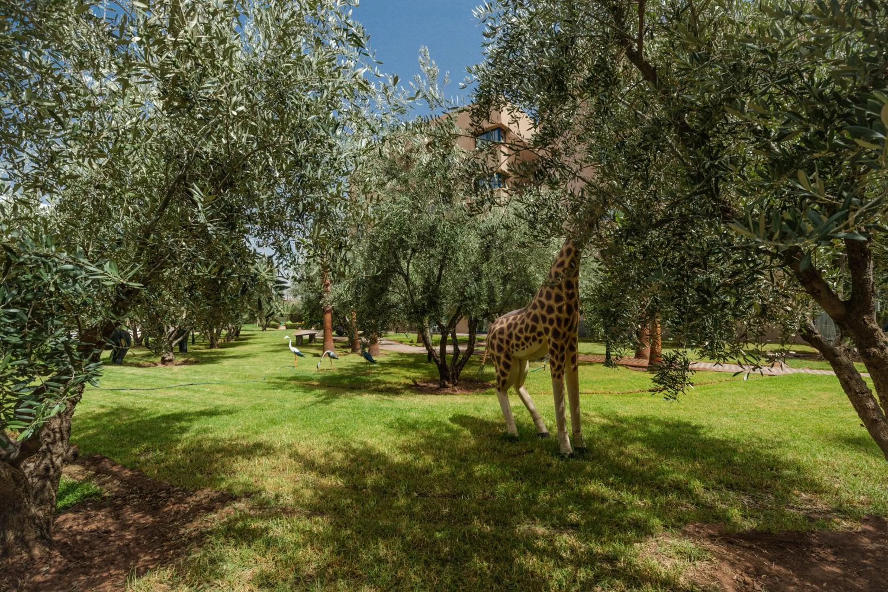 Garden in Wazo Appart-Hôtel