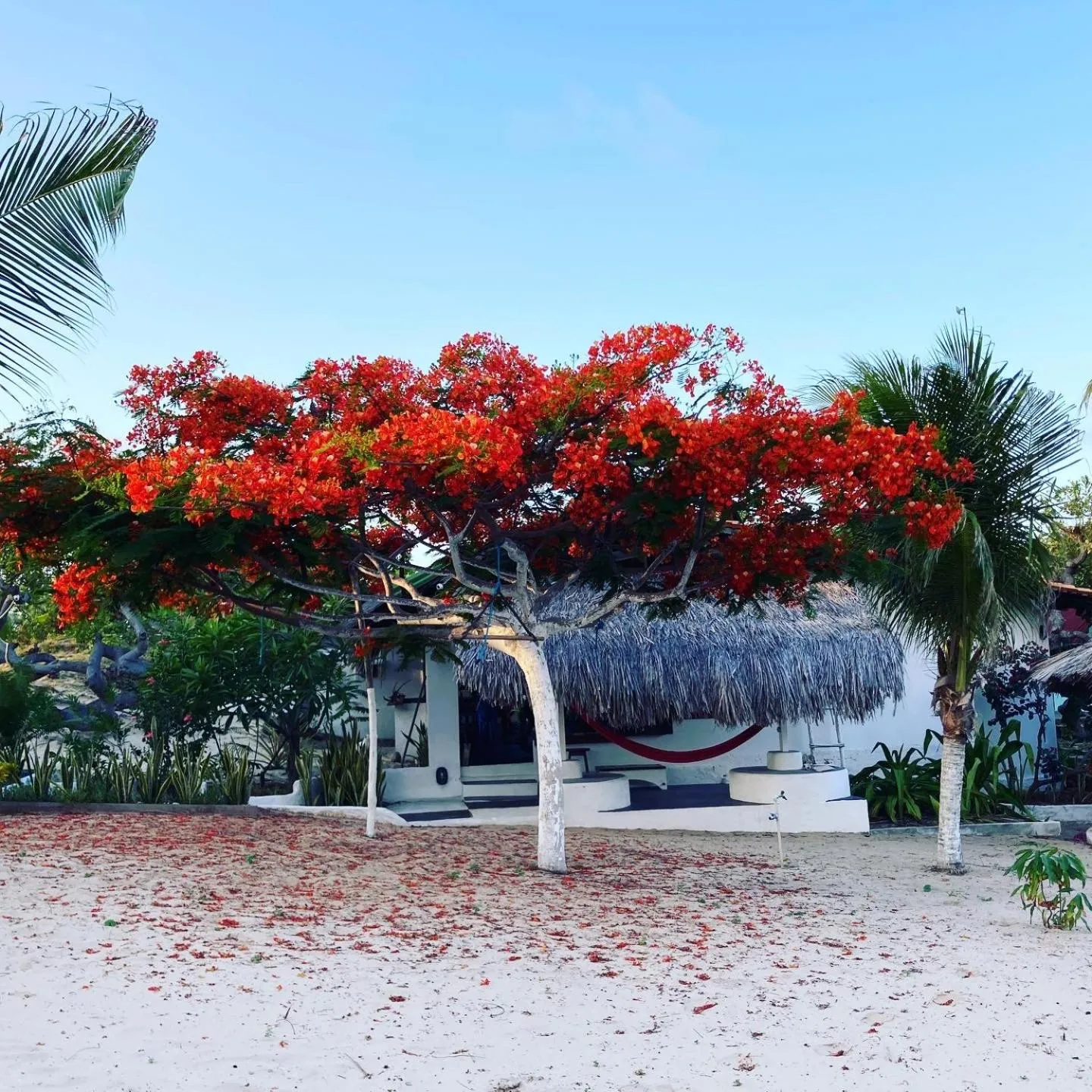 Facade/entrance in Casa Acquamarina