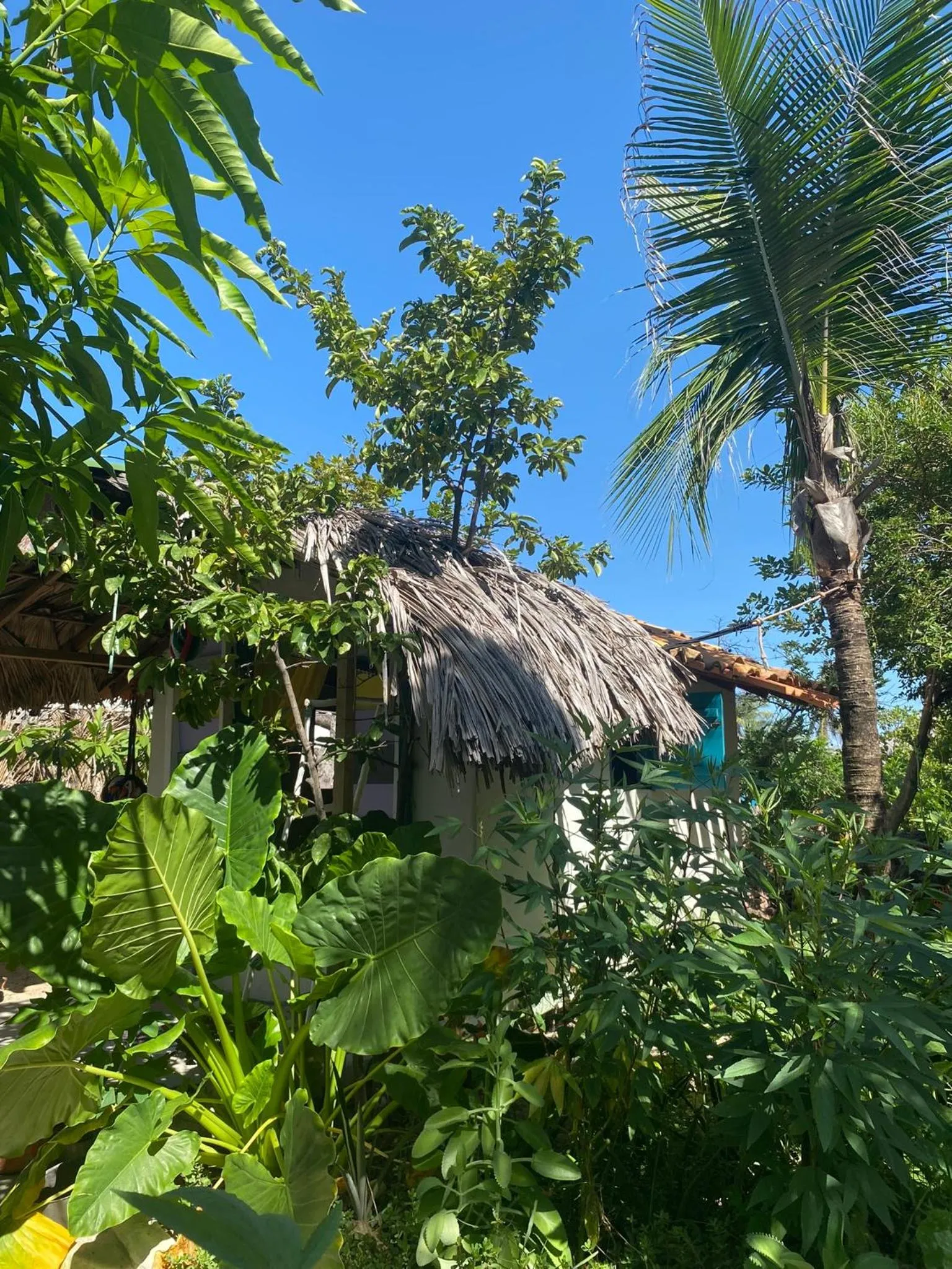 Property building in Casa Acquamarina