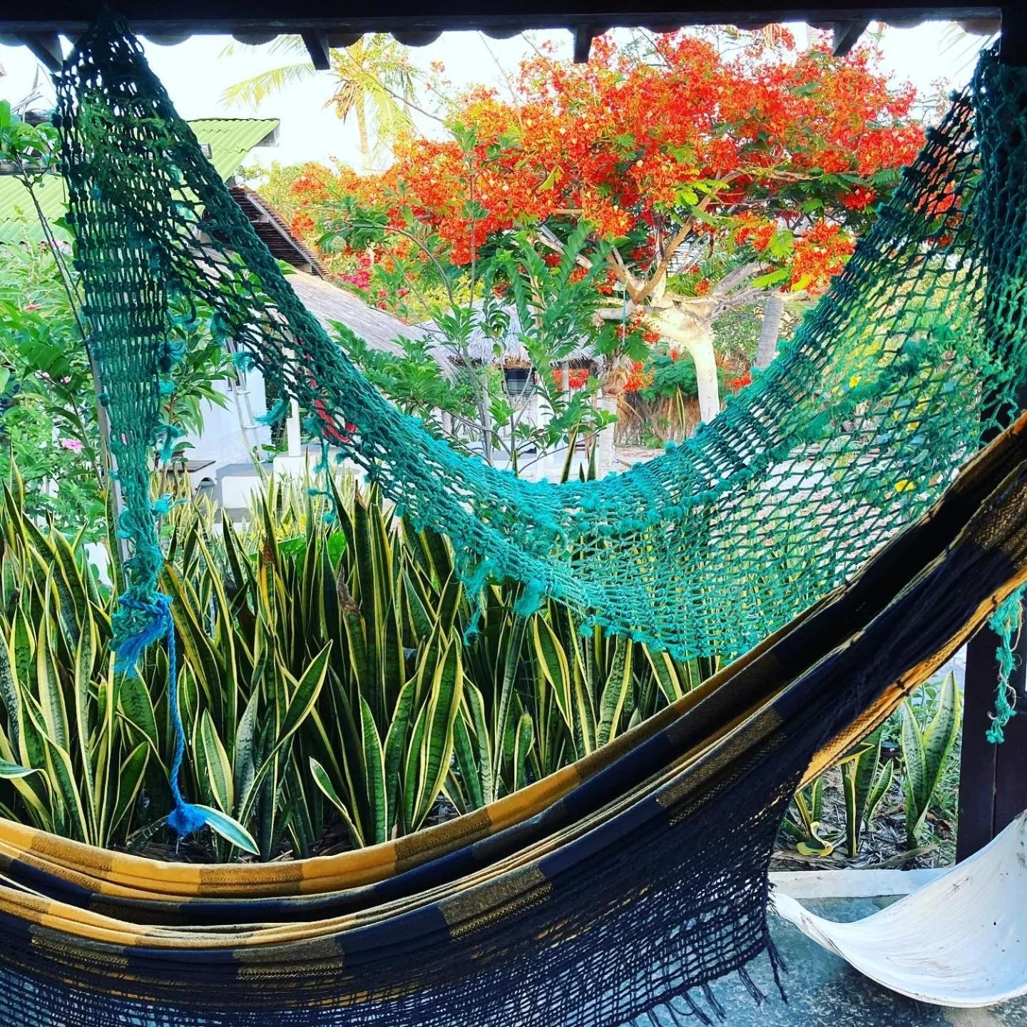 Garden view in Casa Acquamarina