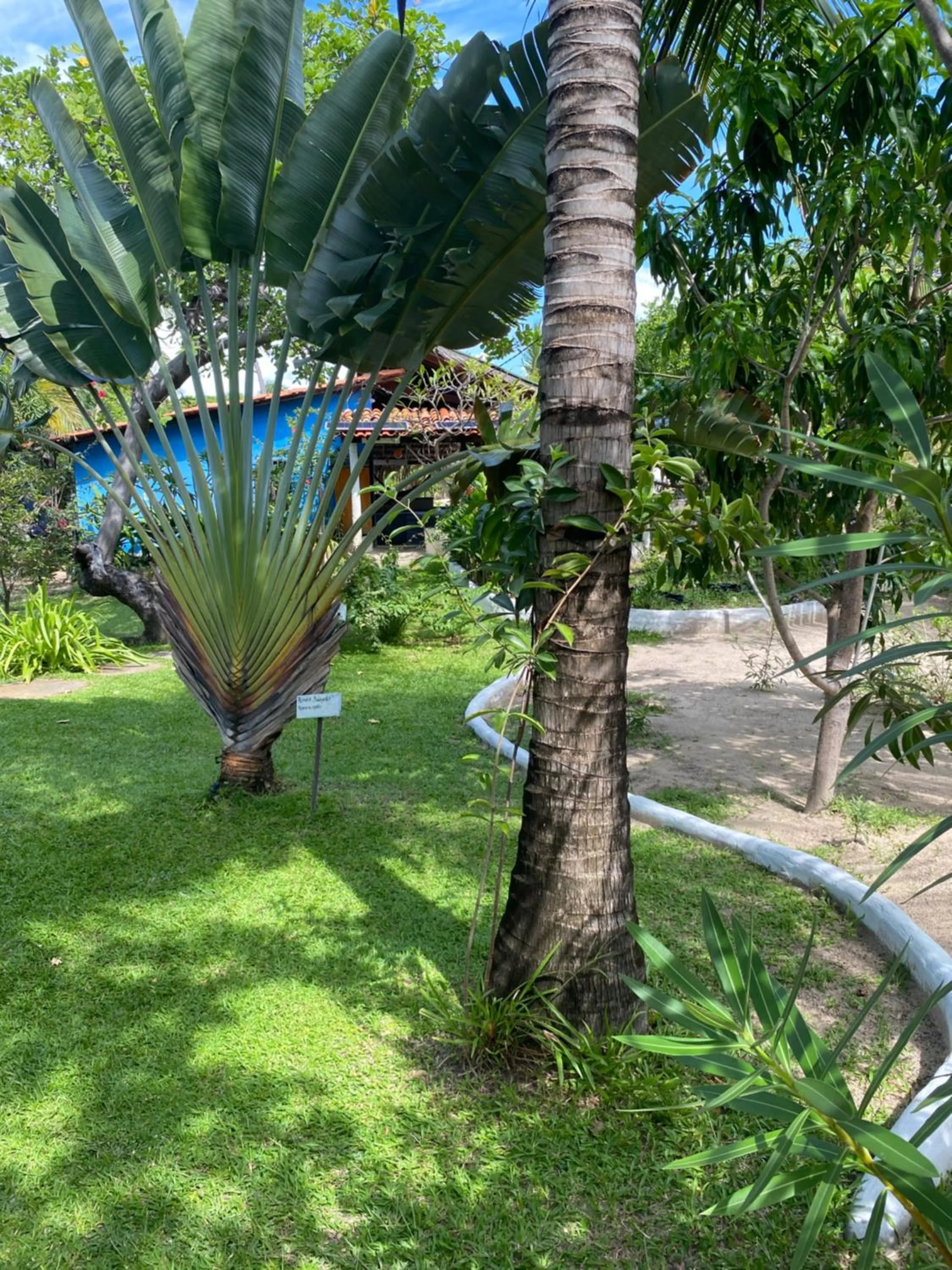 Property building in Casa Acquamarina