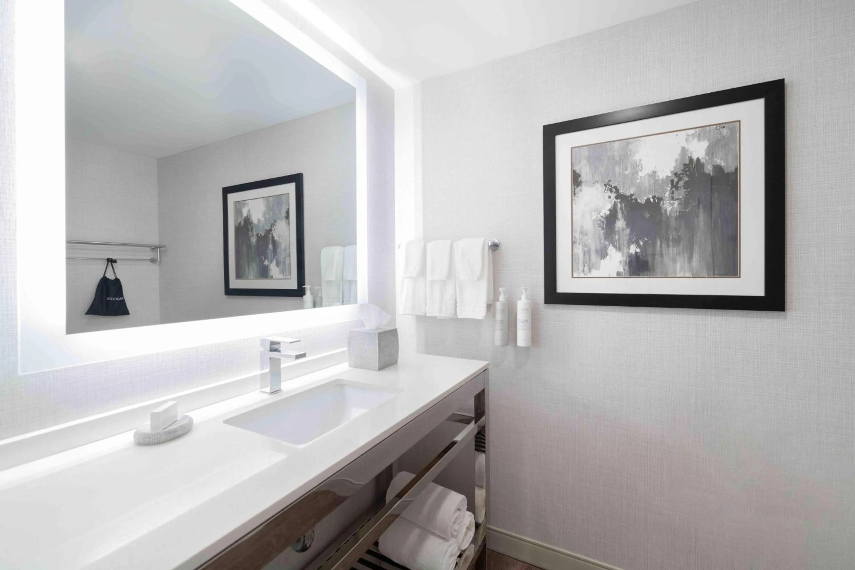 Bathroom in Homewood Suites By Hilton Boston Logan Airport Chelsea