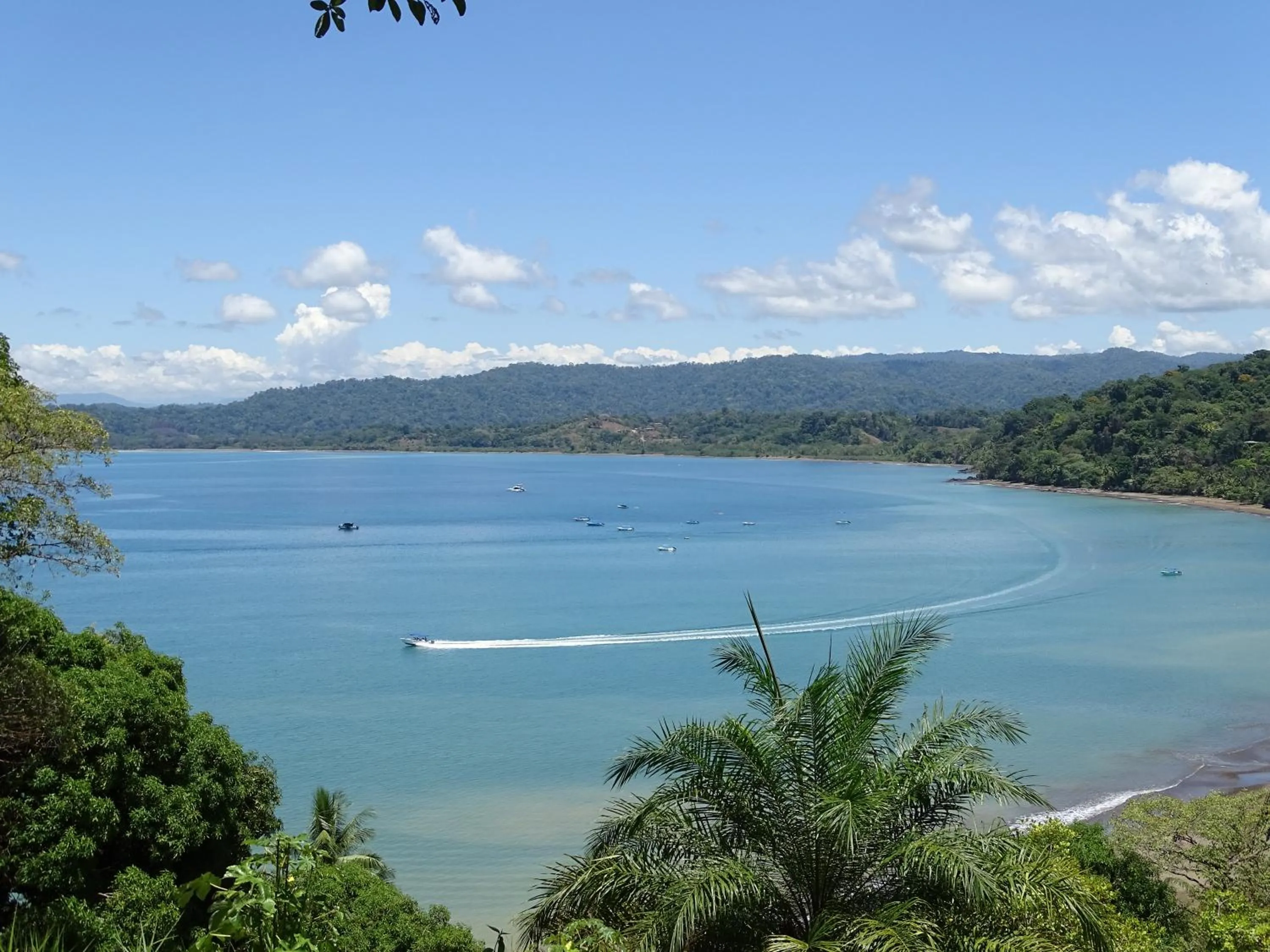 Other in Hostel Osa Tucan Drake