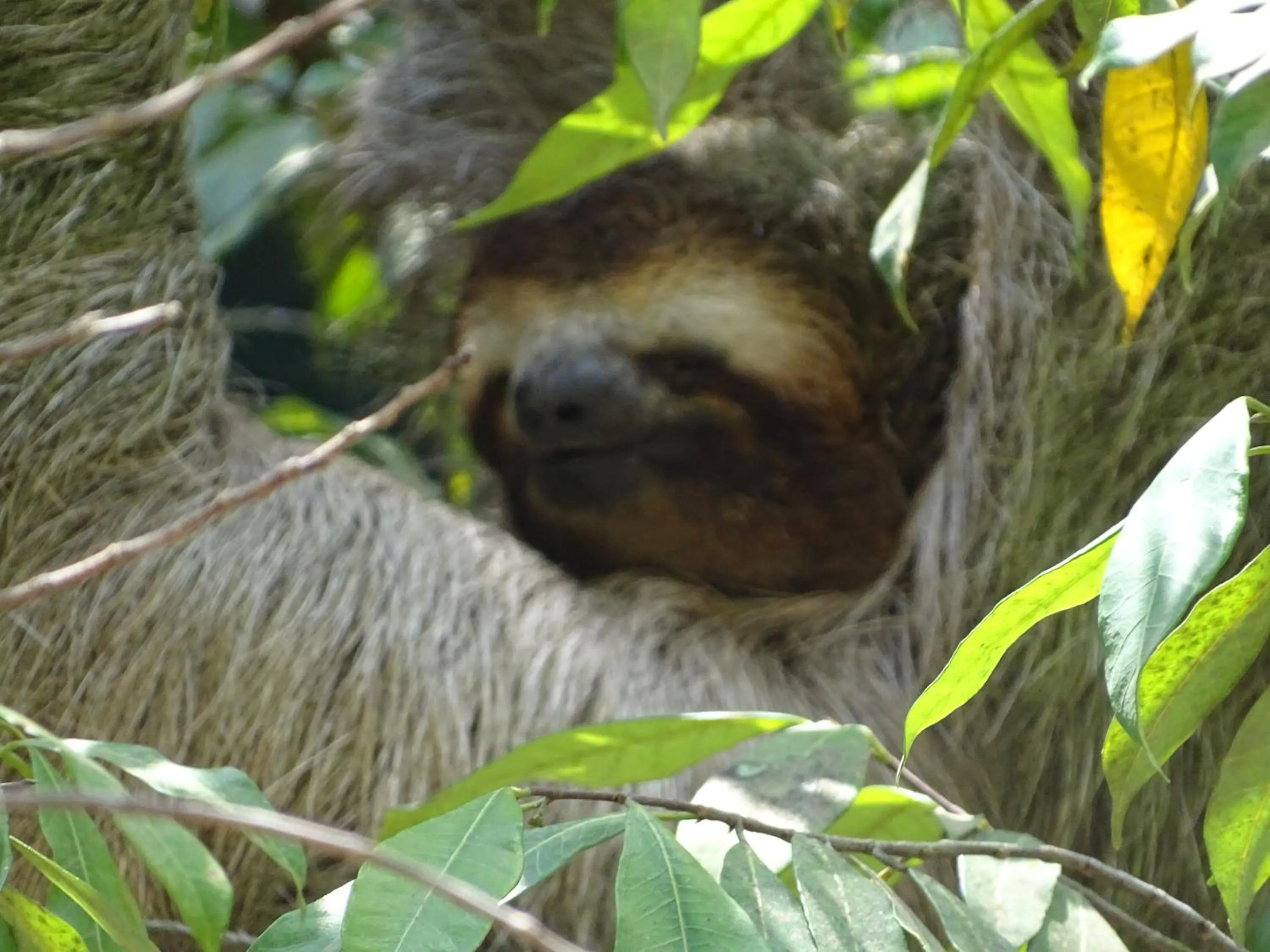 Other in Hostel Osa Tucan Drake