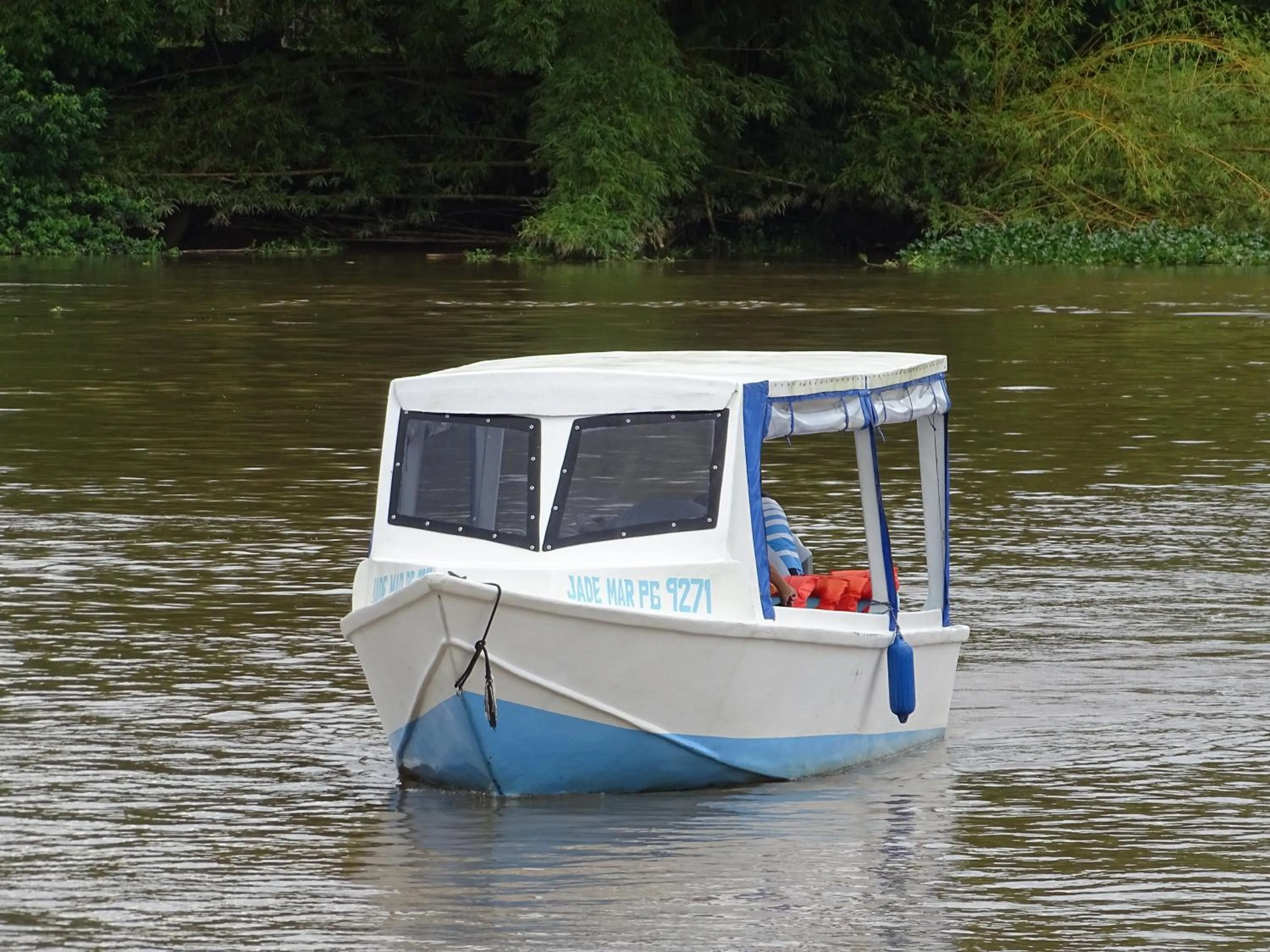 Other in Hostel Osa Tucan Drake