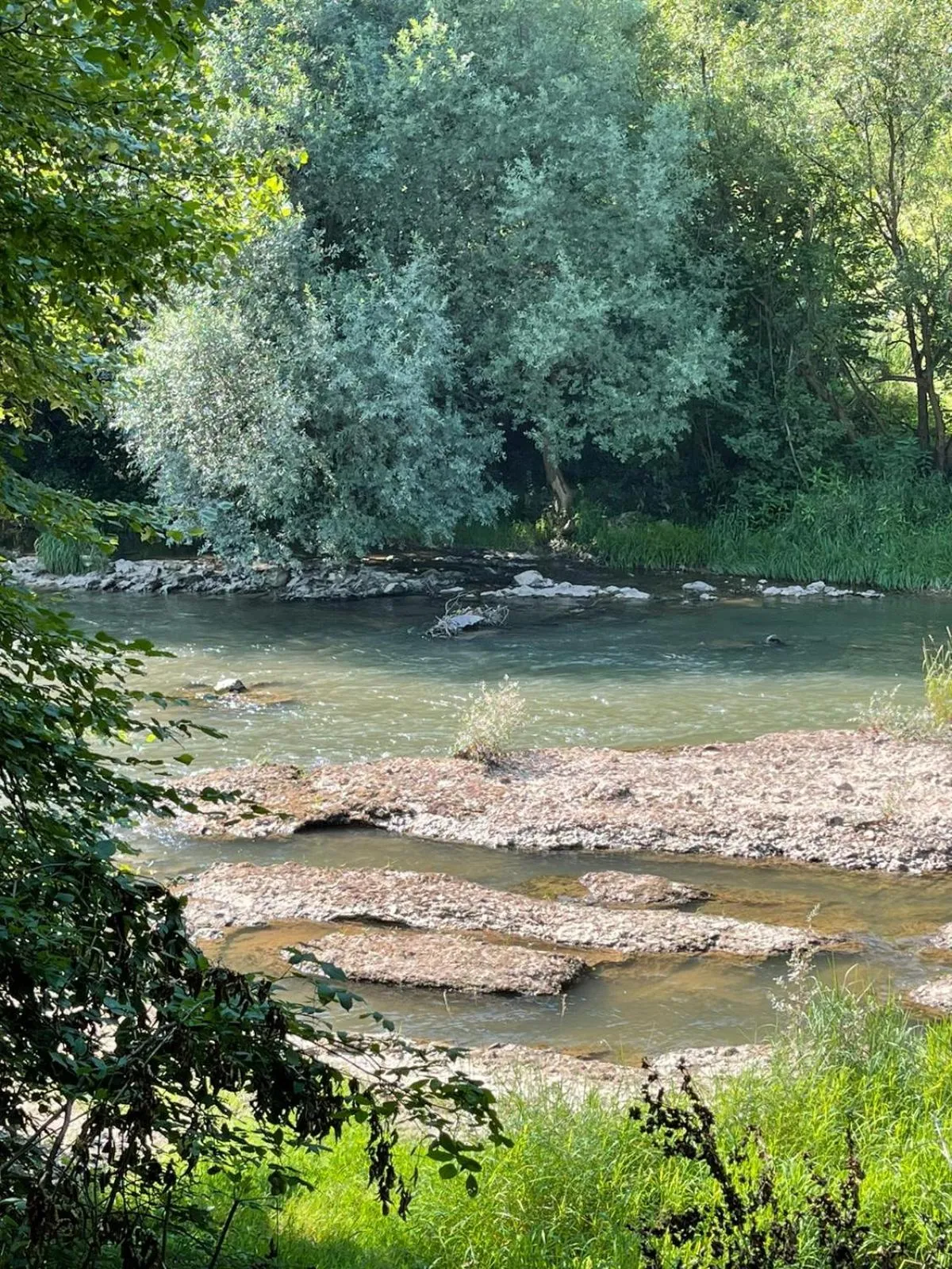 Natural landscape in Holiday Home Oaza Mira