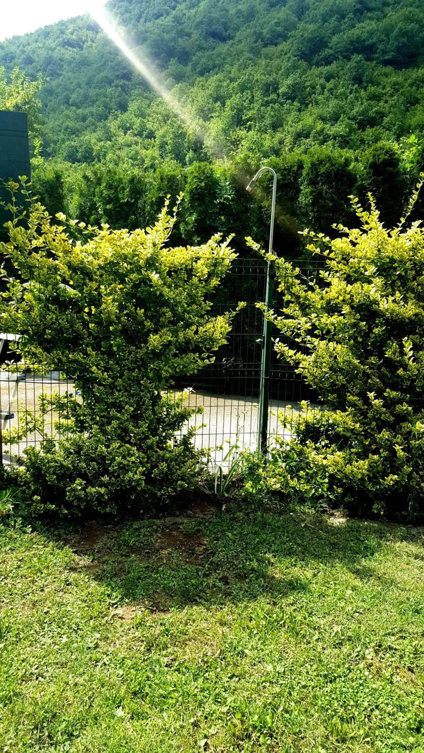 Garden in Holiday Home Oaza Mira