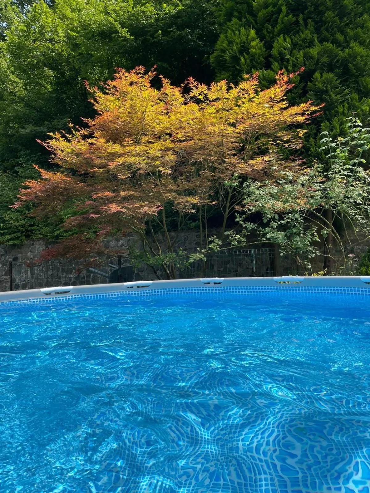 Swimming pool in Holiday Home Oaza Mira