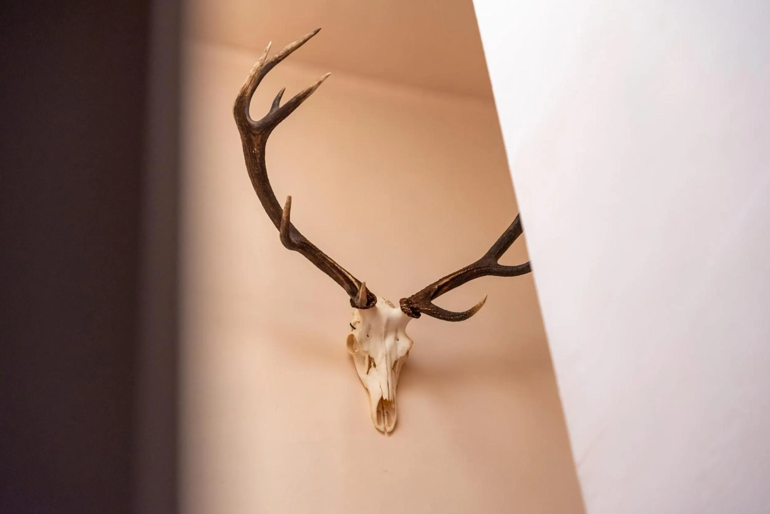 Decorative detail in Hôtel Le Cor de Chasse