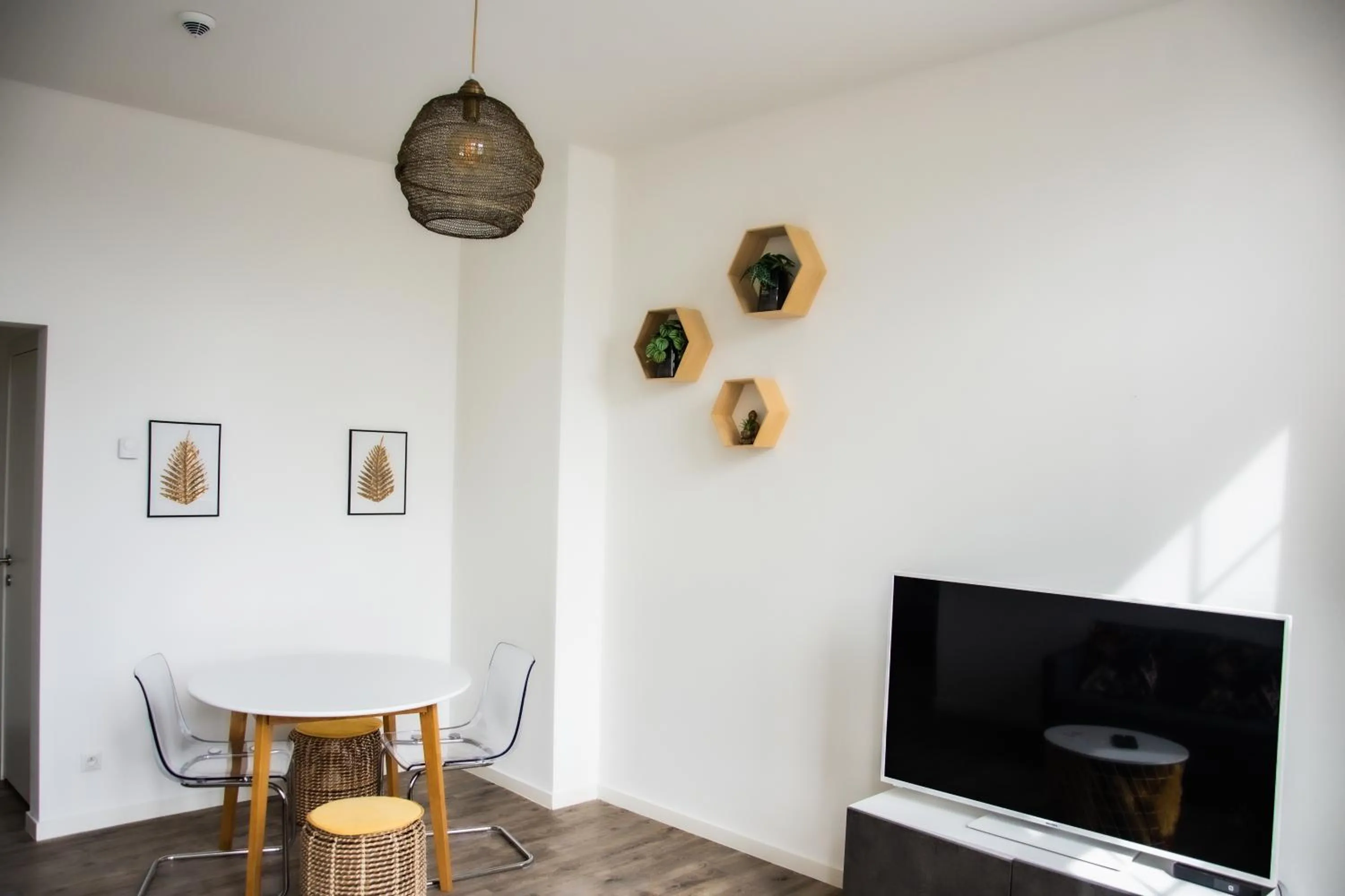 TV and multimedia in Hotel Industrie