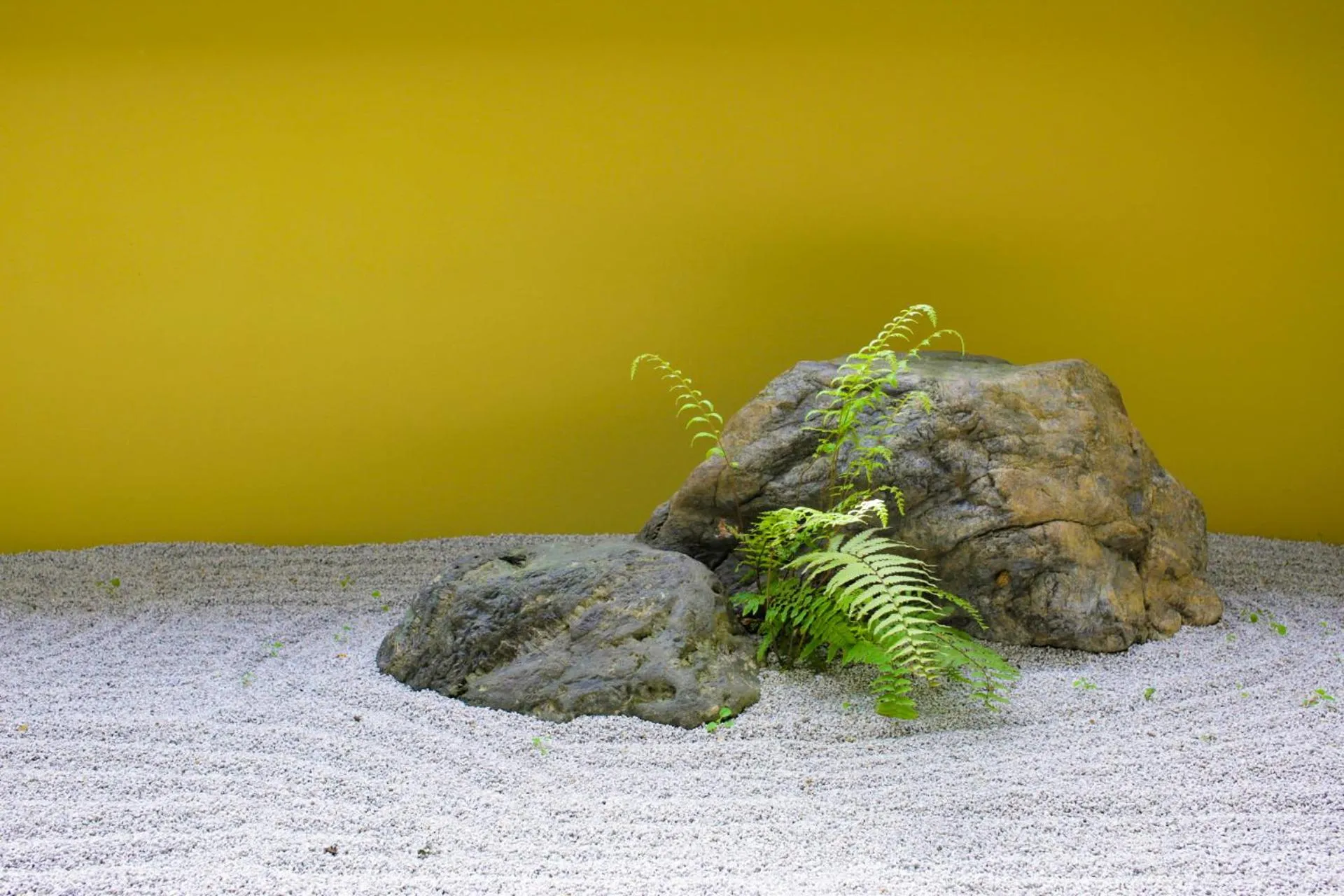Garden view in Kyoto Takasegawa Bettei