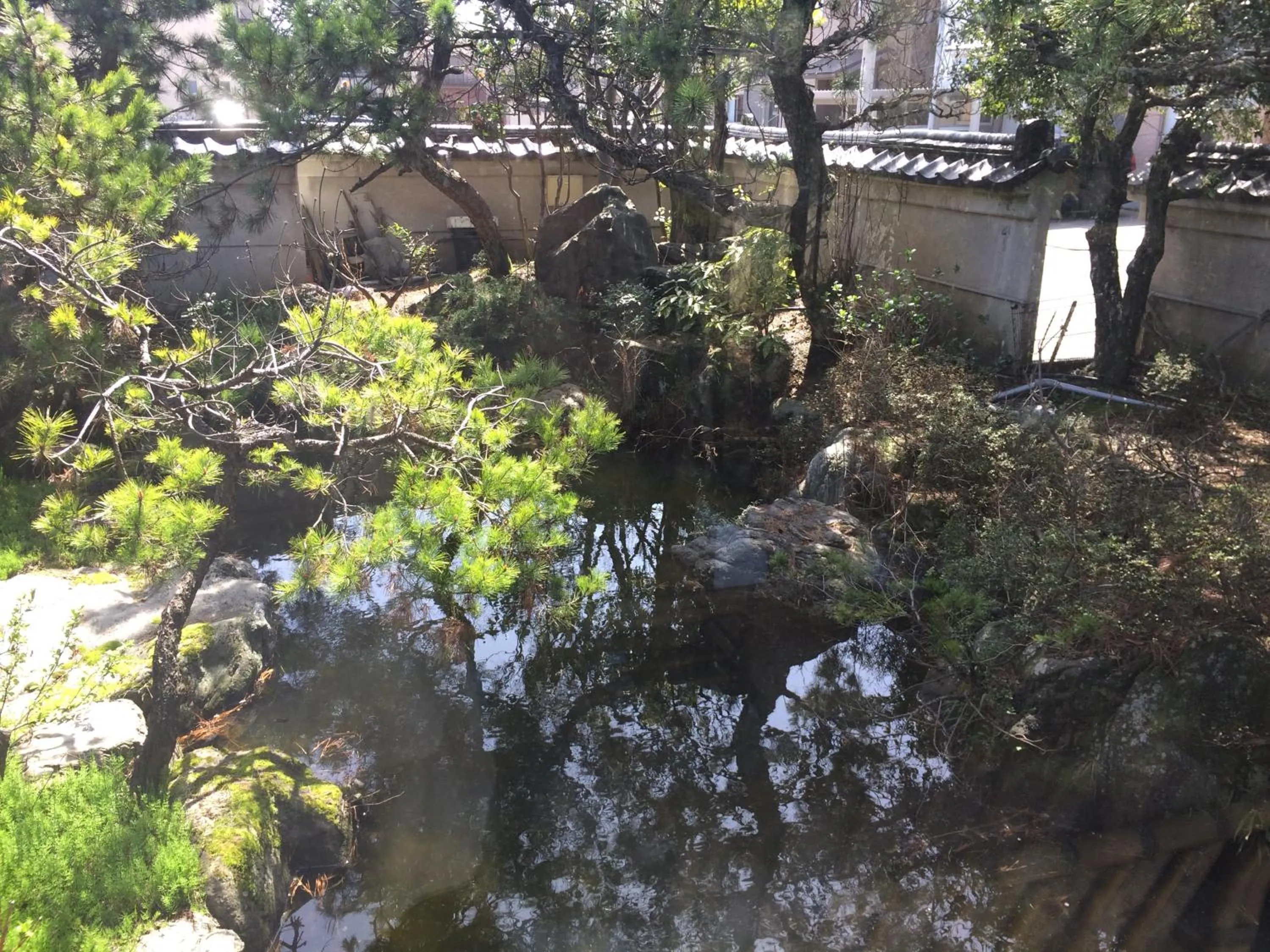 View (from property/room) in Ryokan Karasawa