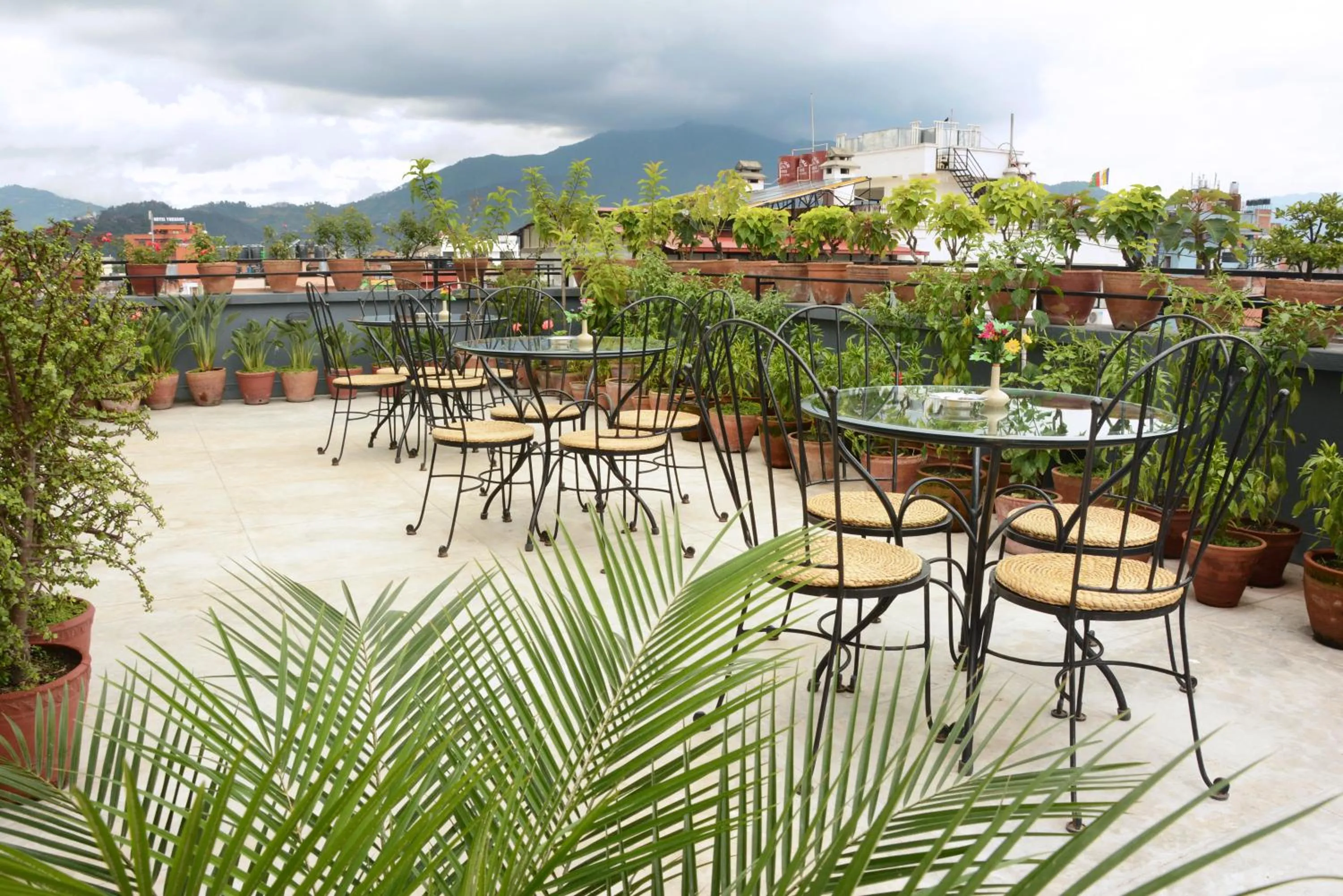 Garden in Fuji Hotel