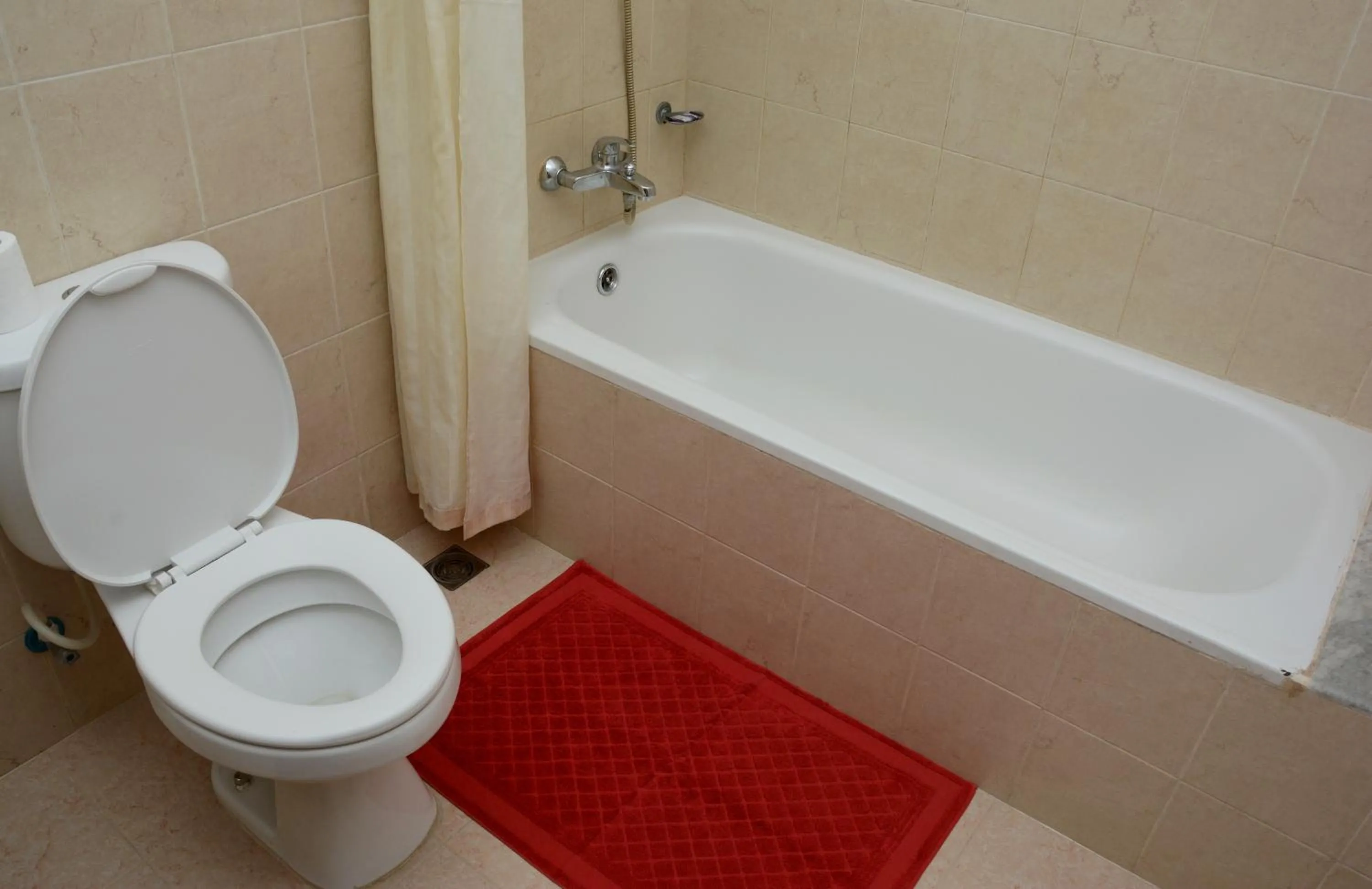Bathroom in Fuji Hotel
