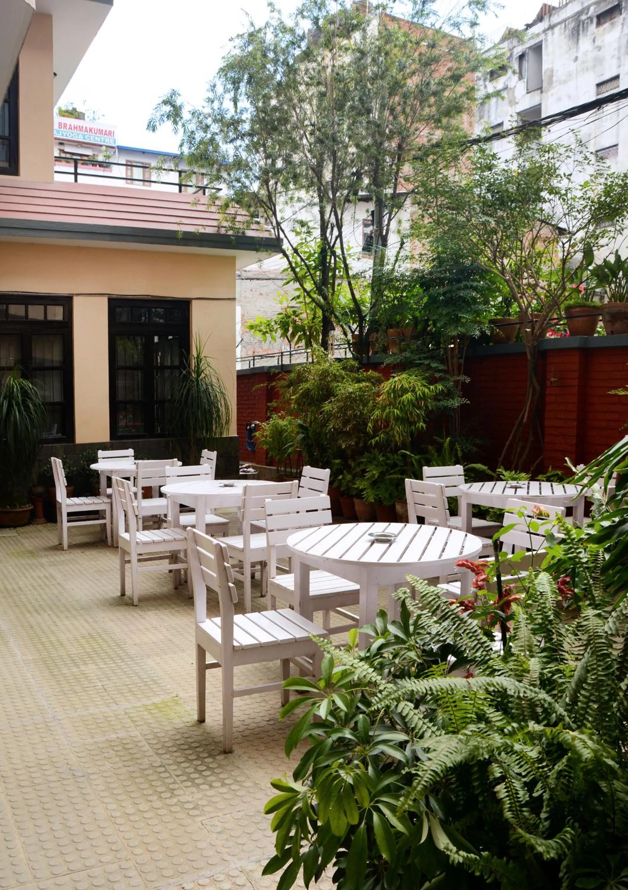 Garden in Fuji Hotel