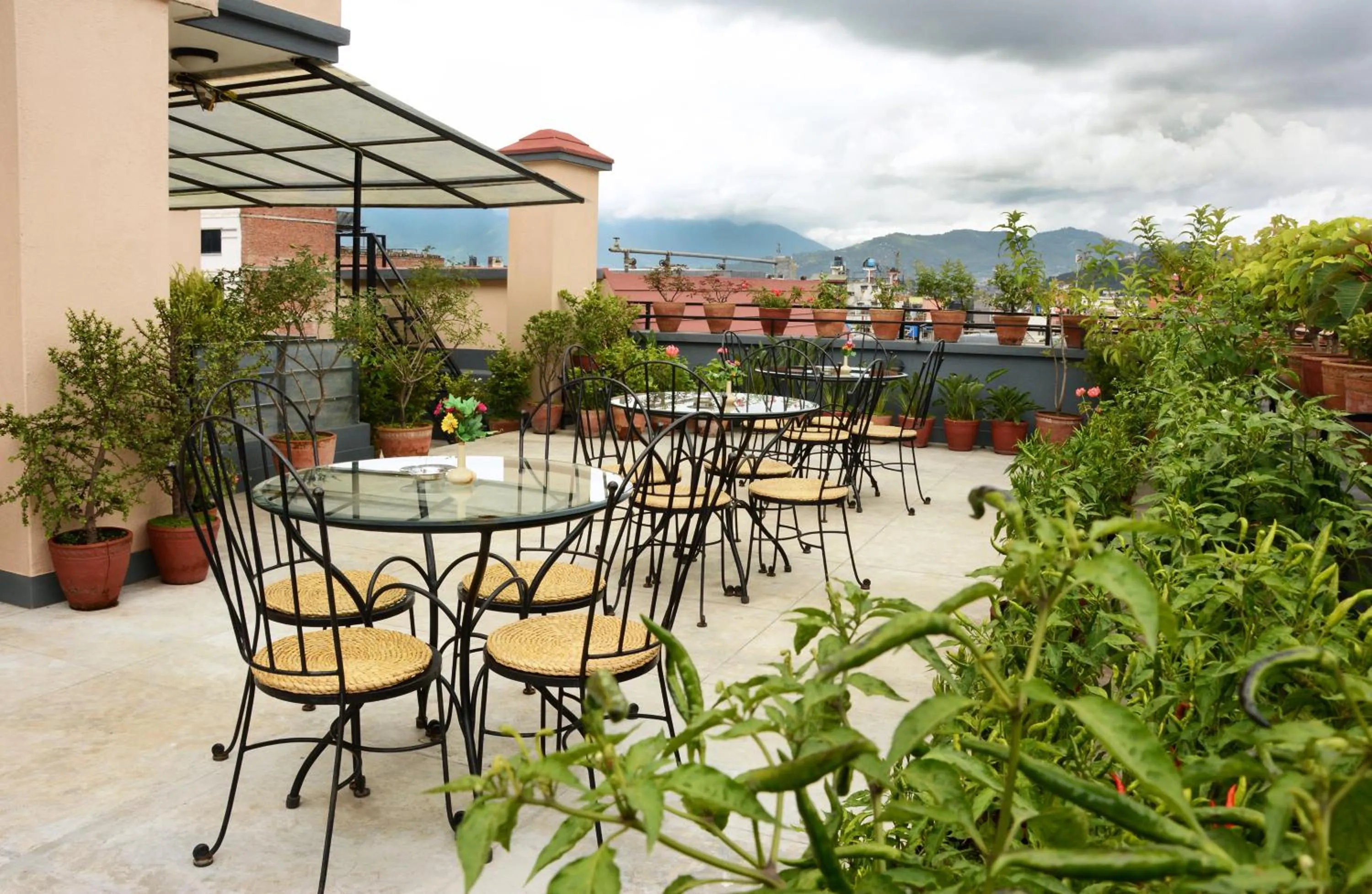 Garden in Fuji Hotel