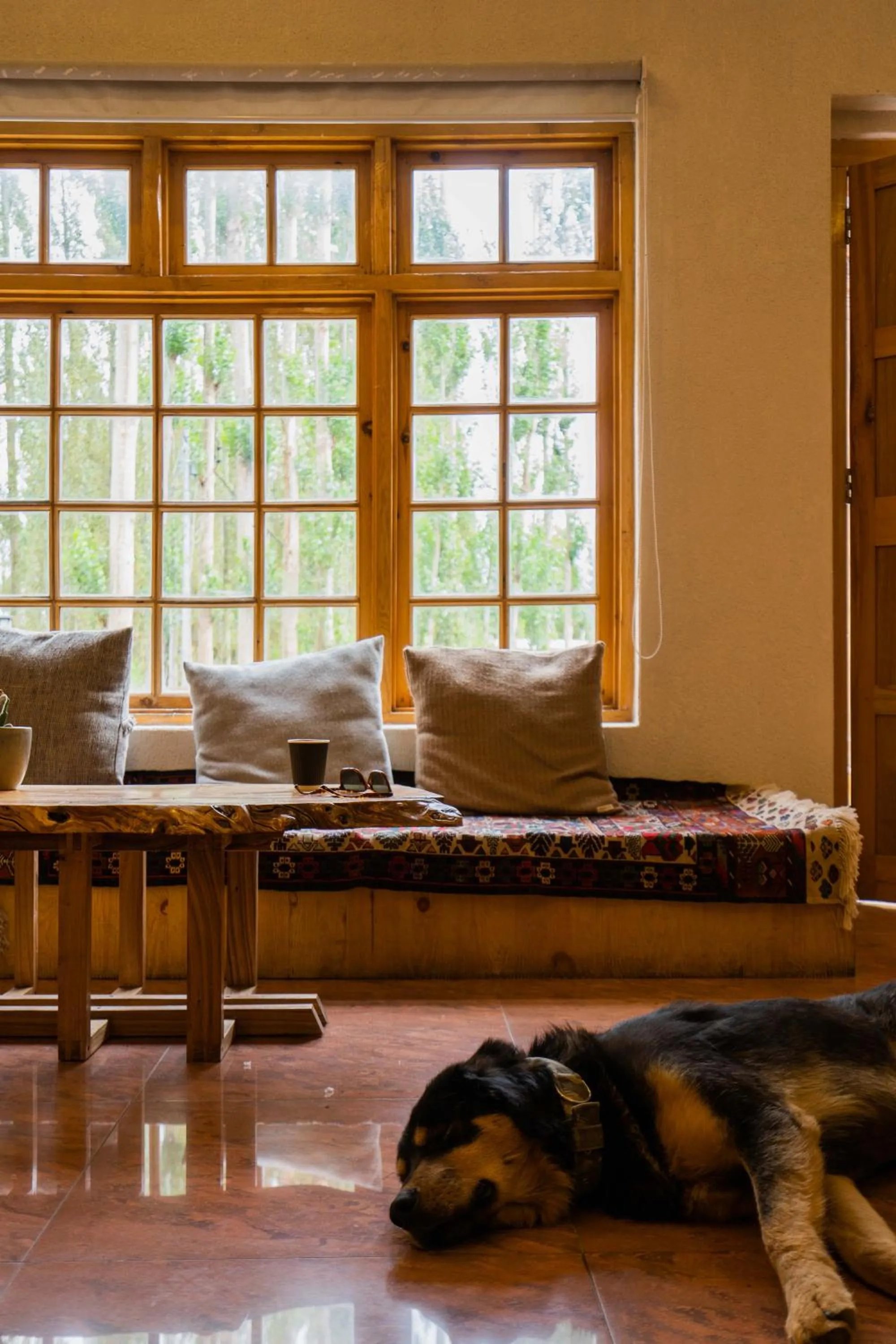 Animals in The Silk Route Ladakh