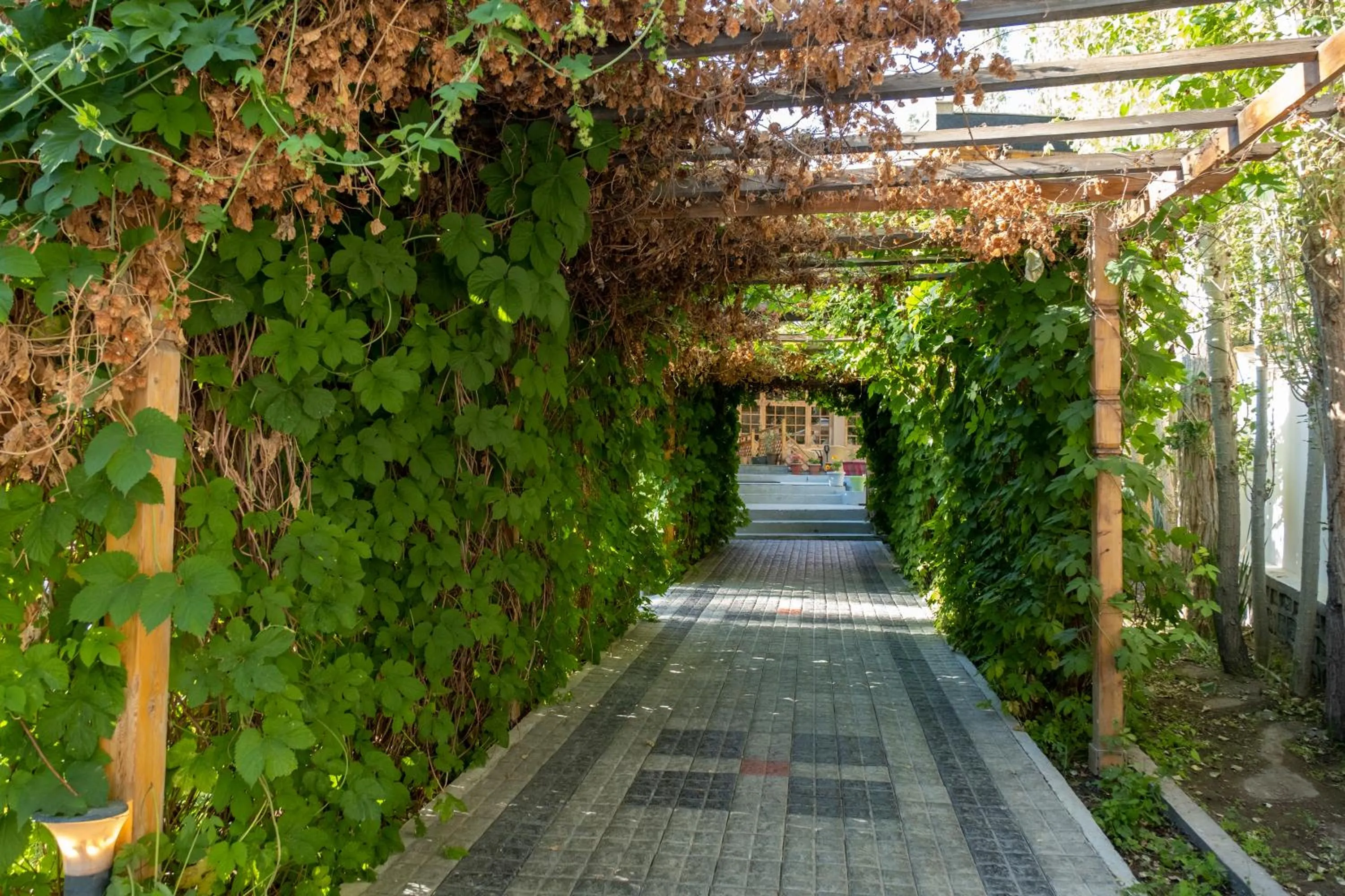 Facade/entrance in The Silk Route Ladakh